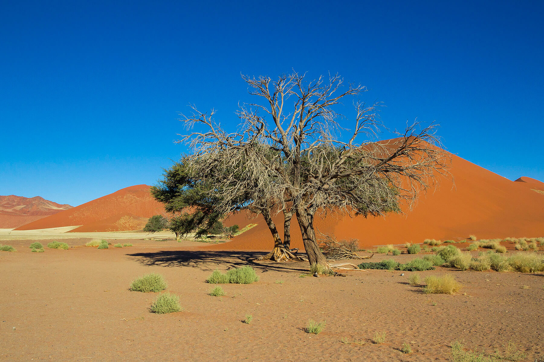 Sossusvlei Namibia