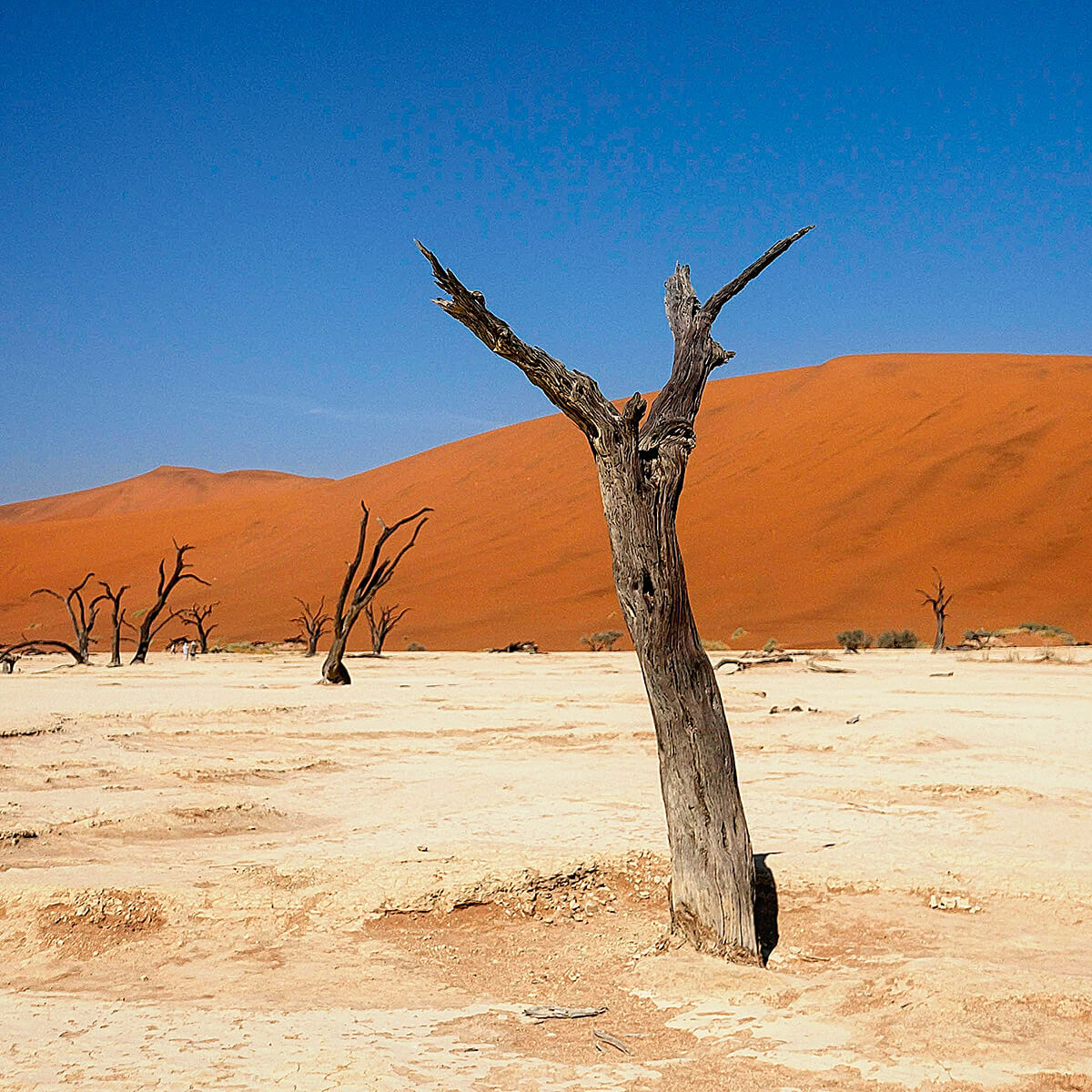 Deadvlei Namibia