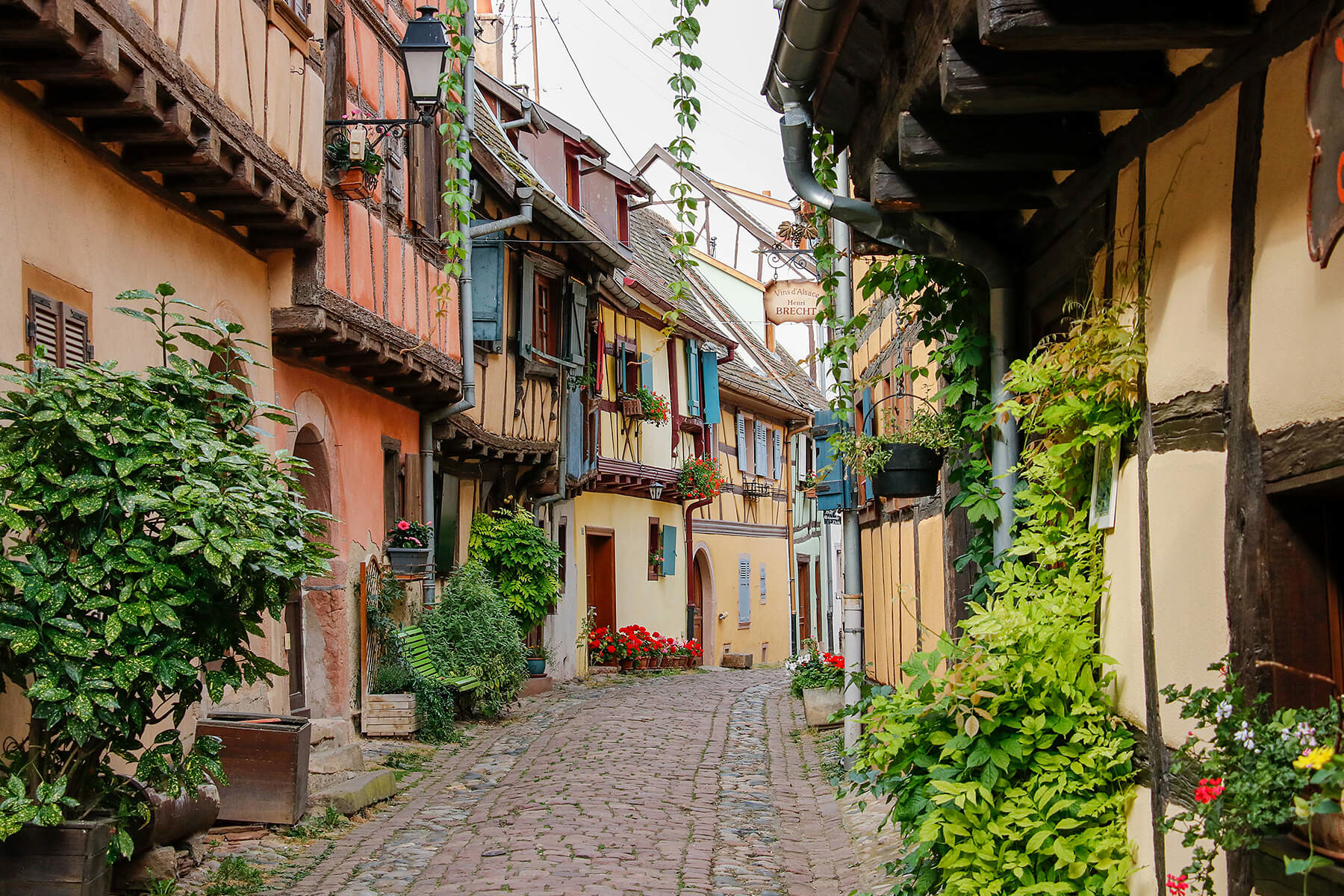 Elsass