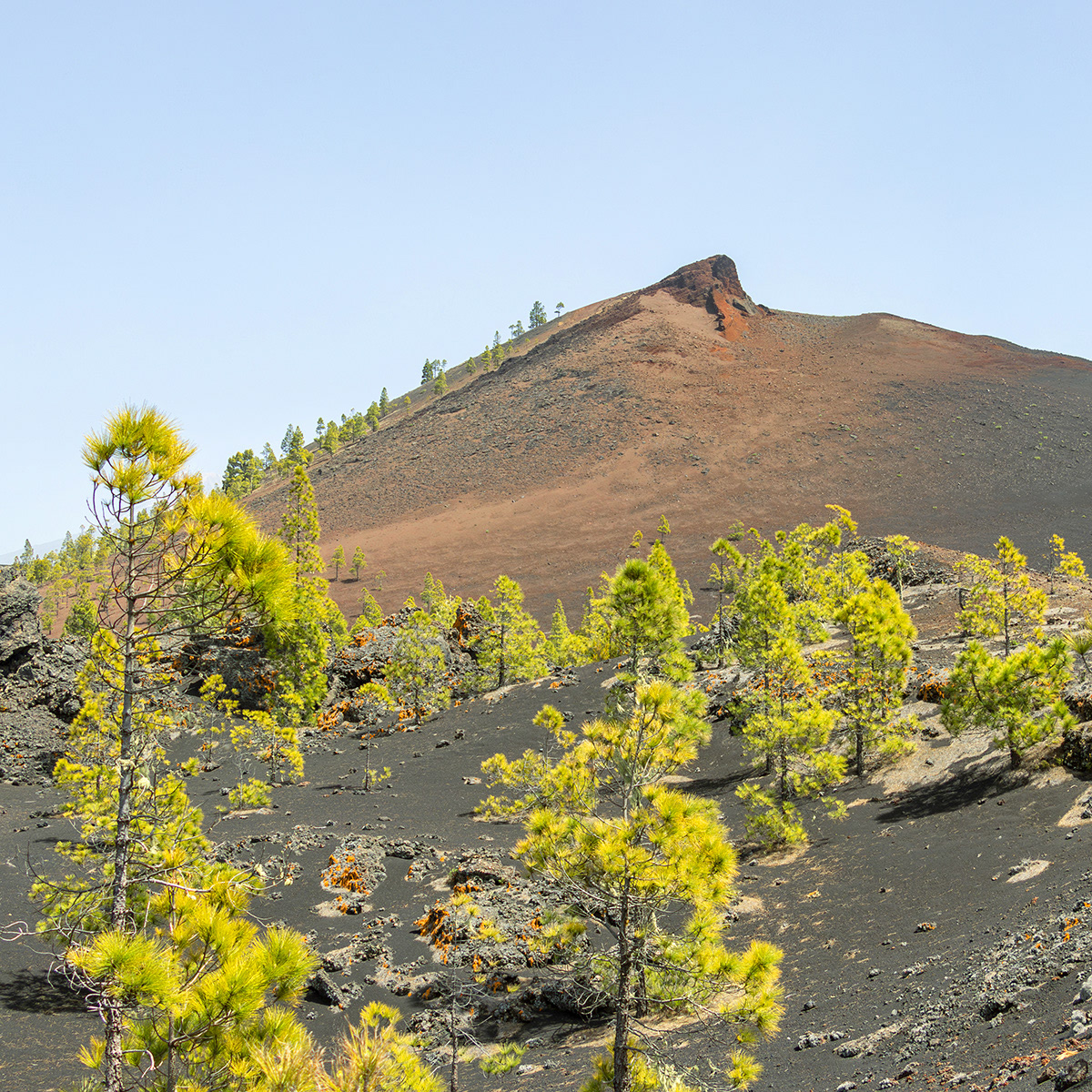 Teneriffa