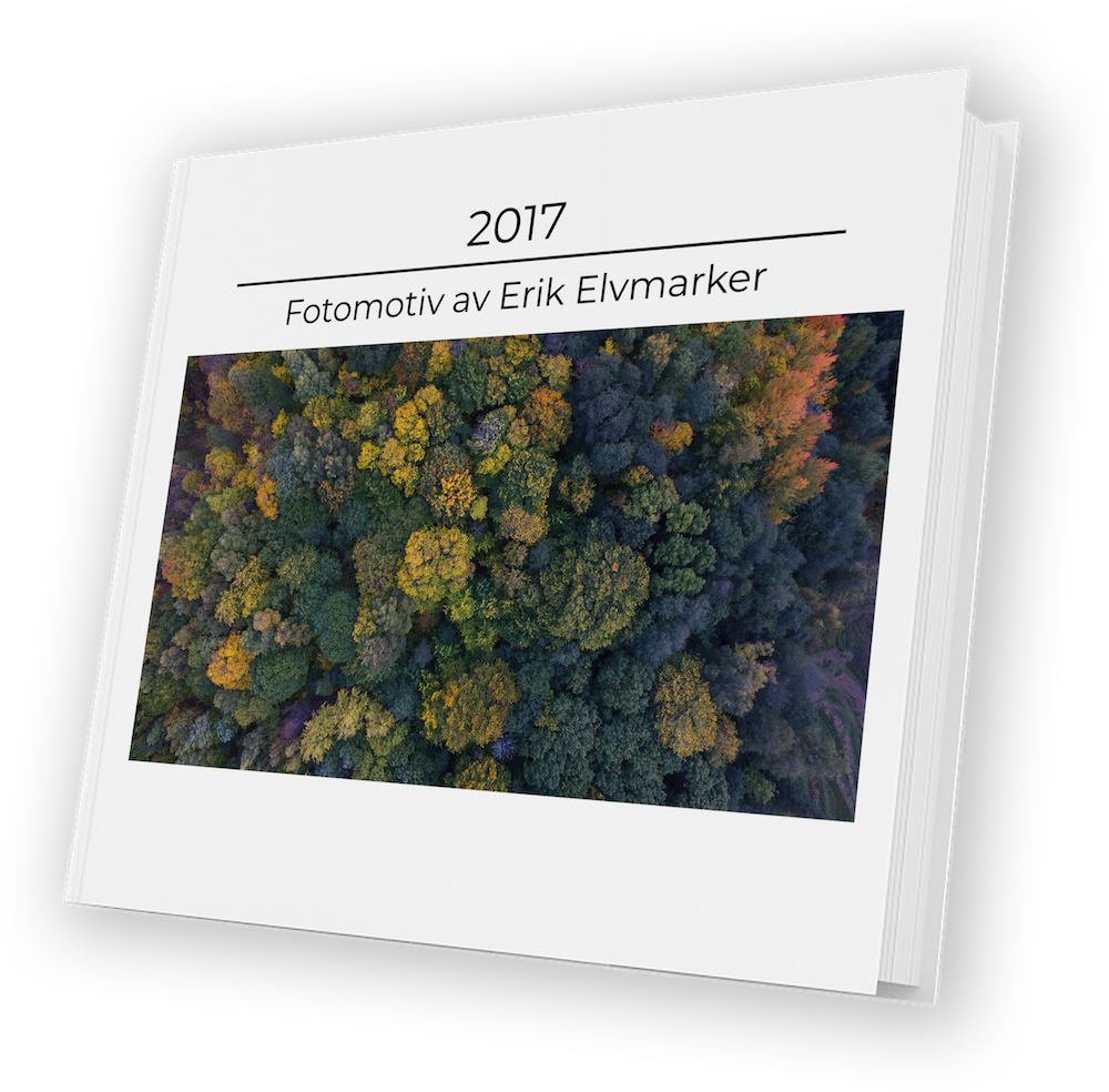 2017 Fotomotiv av Erik Elvmarker