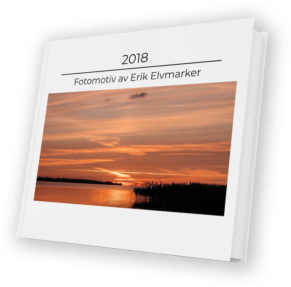 2018 Fotomotiv av Erik Elvmarker