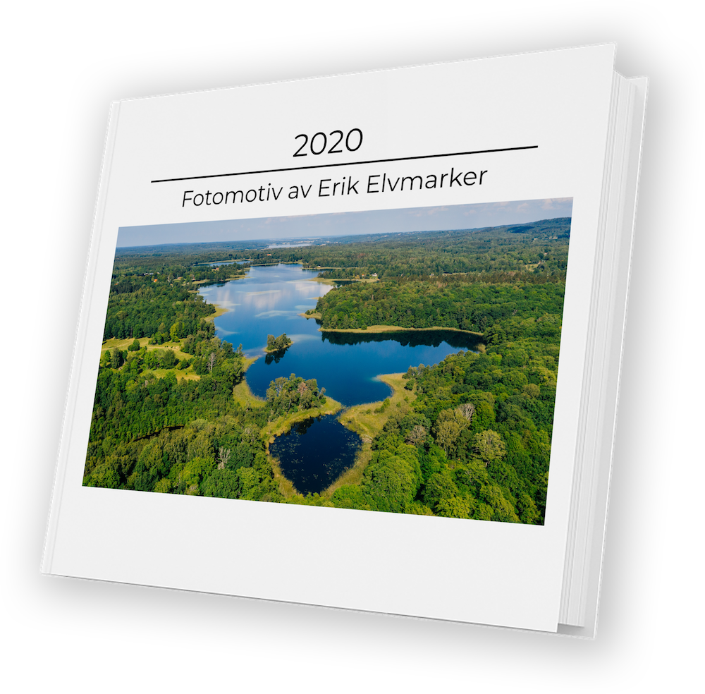 2020 Fotomotiv av Erik Elvmarker