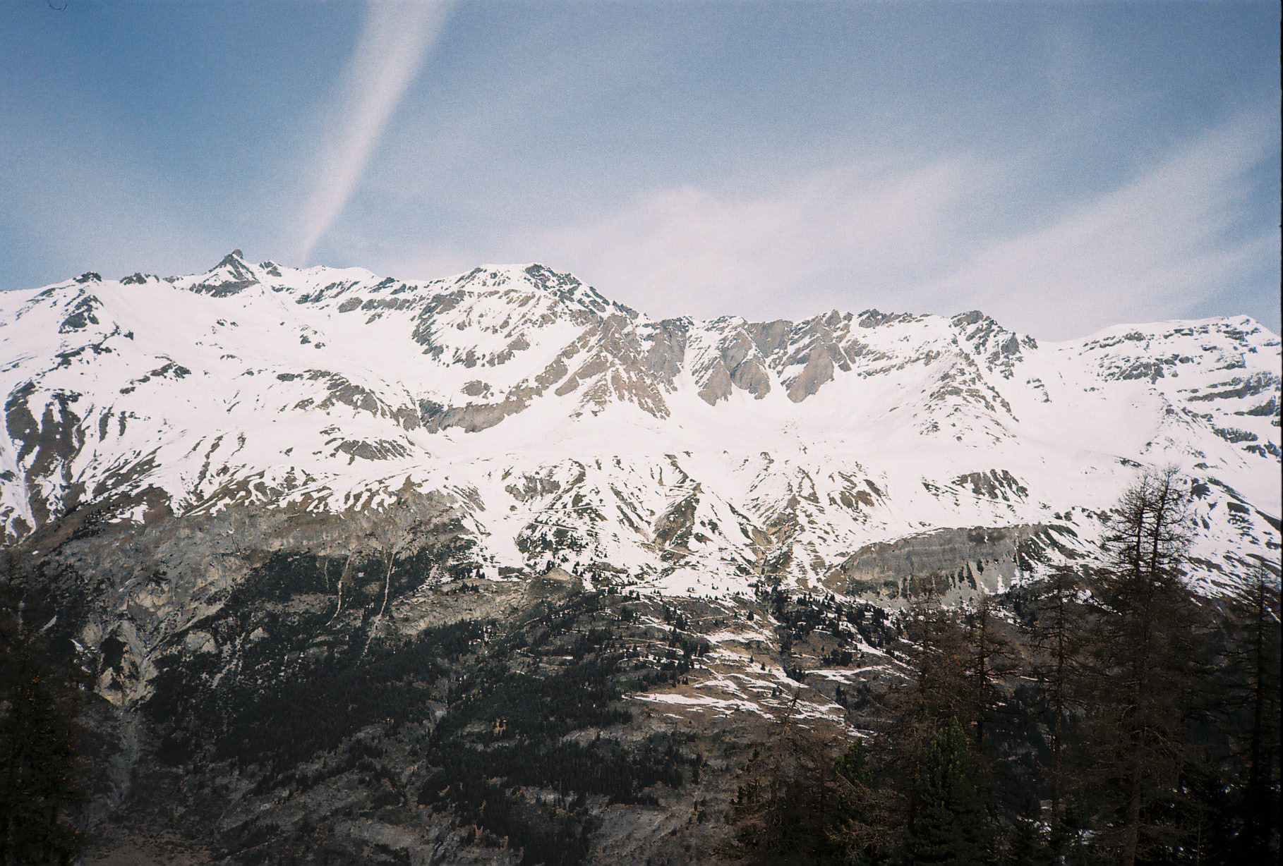 Olympus XA - Kodak Gold 200 (1)