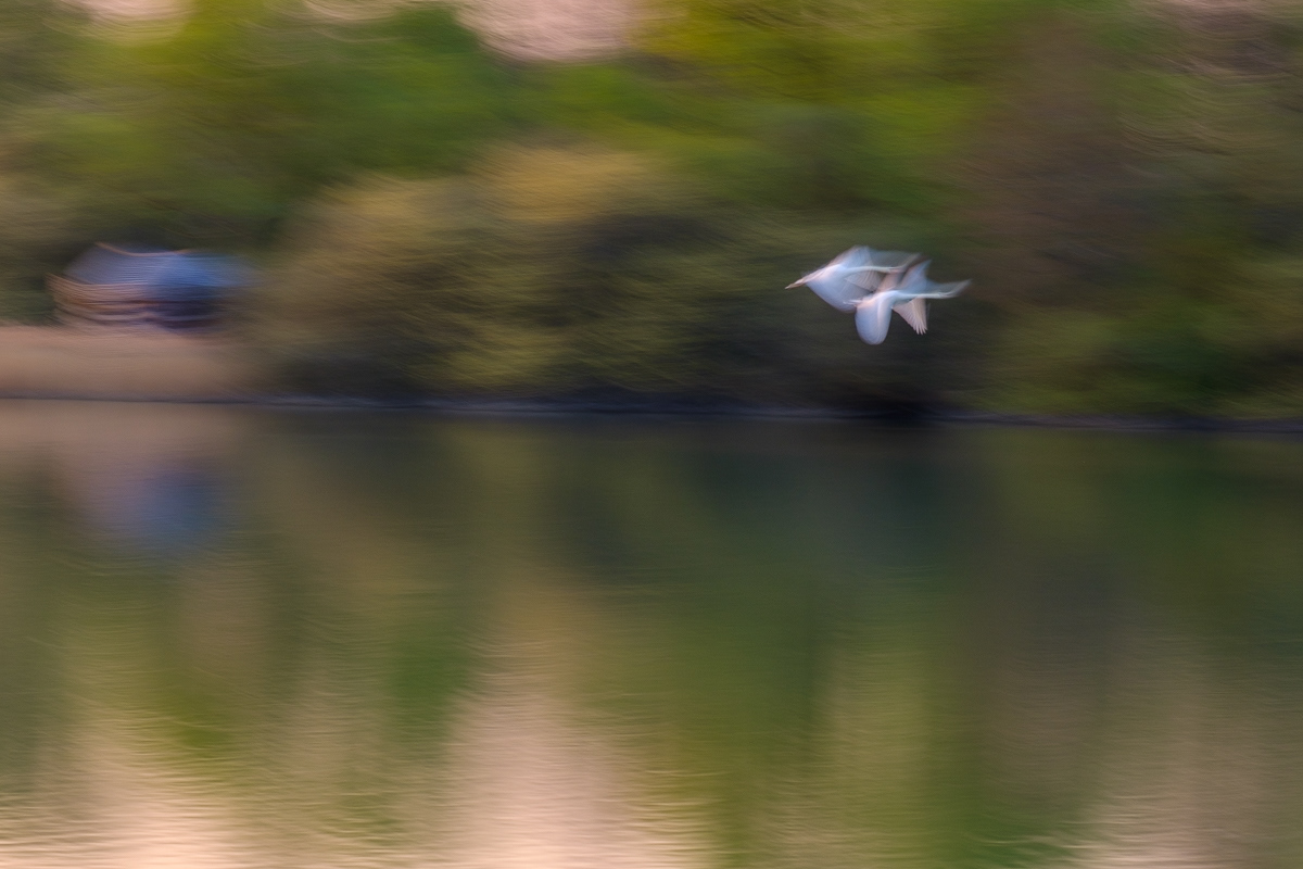 Impression of flight