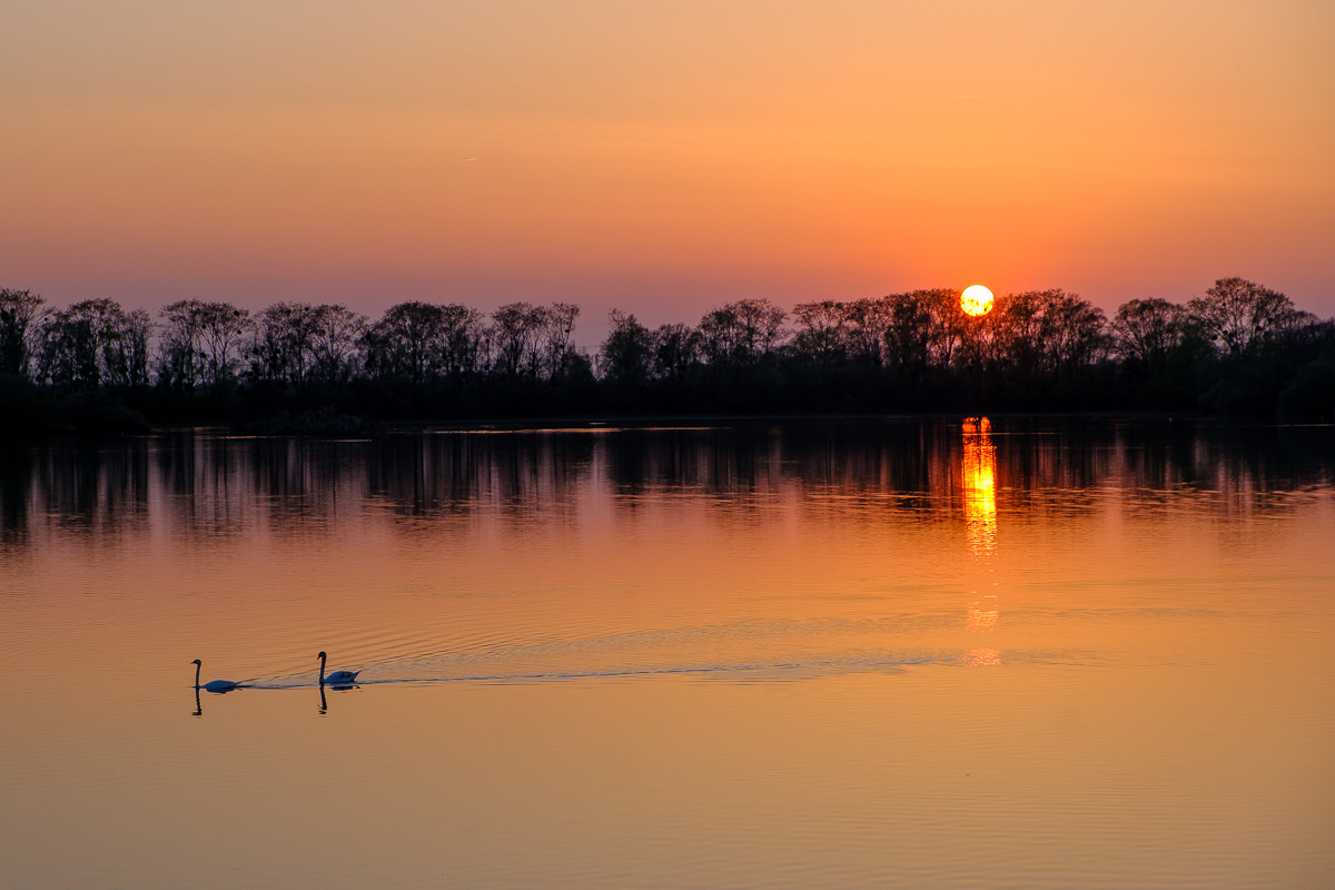 It's late, let's go home