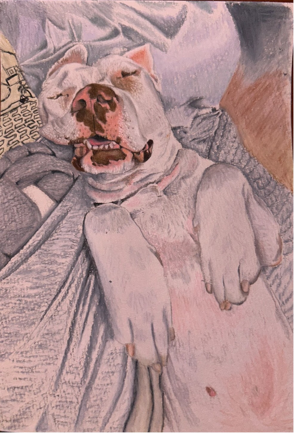 Appa, 4.9 x 6.9", colored pencil & watercolor paper