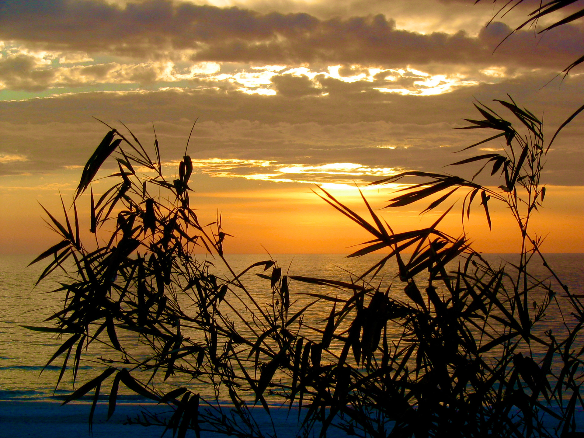 Sunset, Anna Maria Island, FL