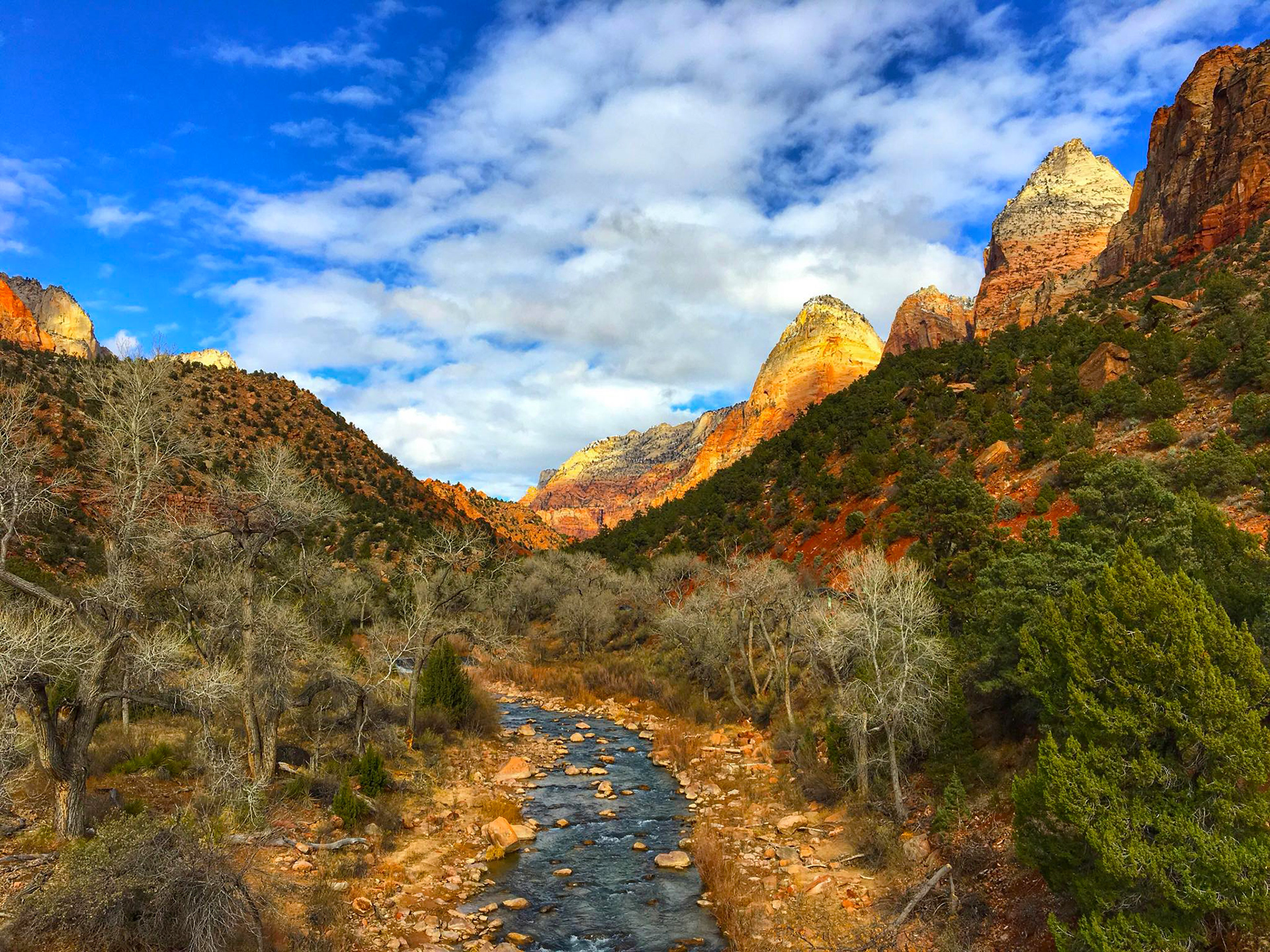 Zion National Park, UT