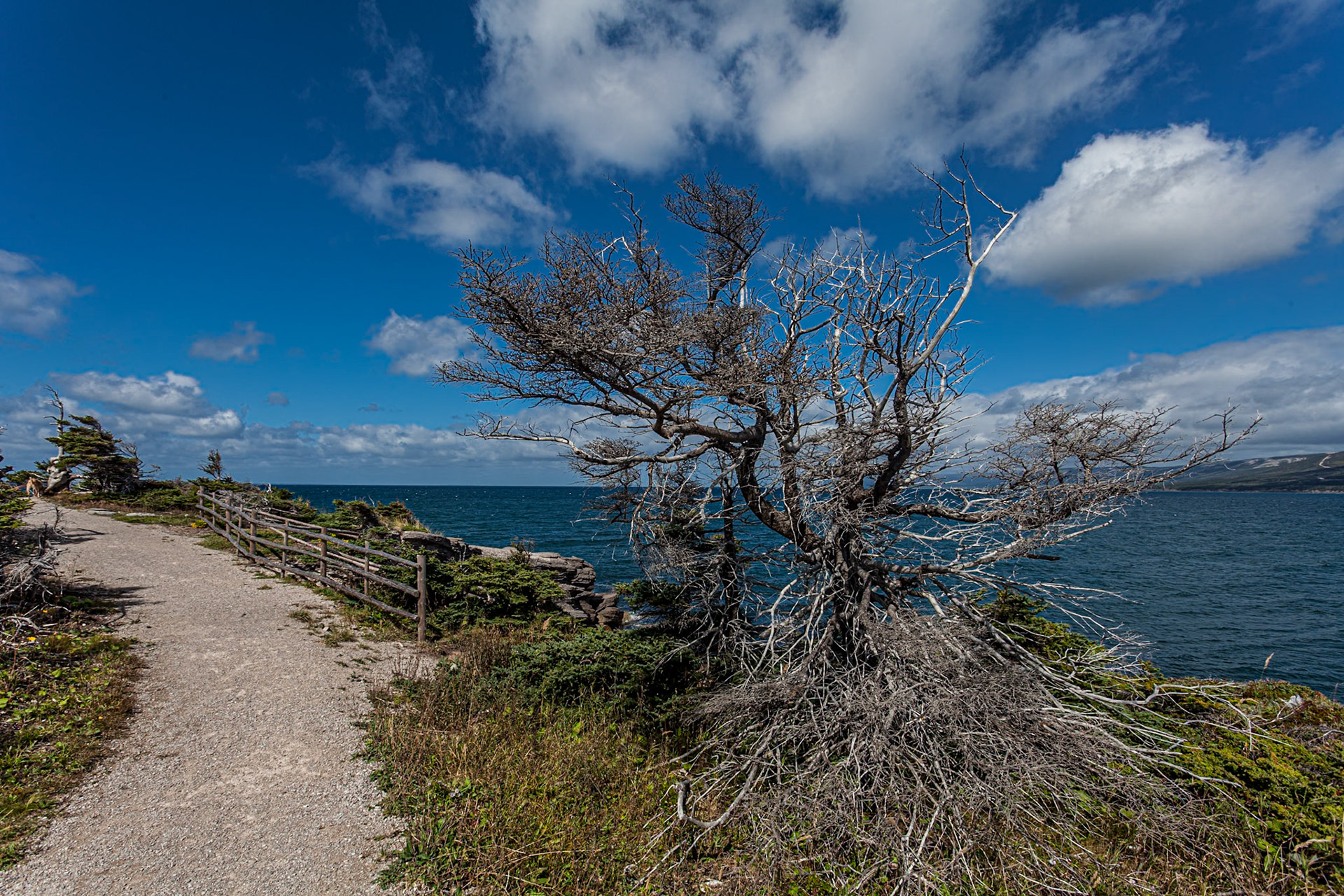 The Gravels Trail