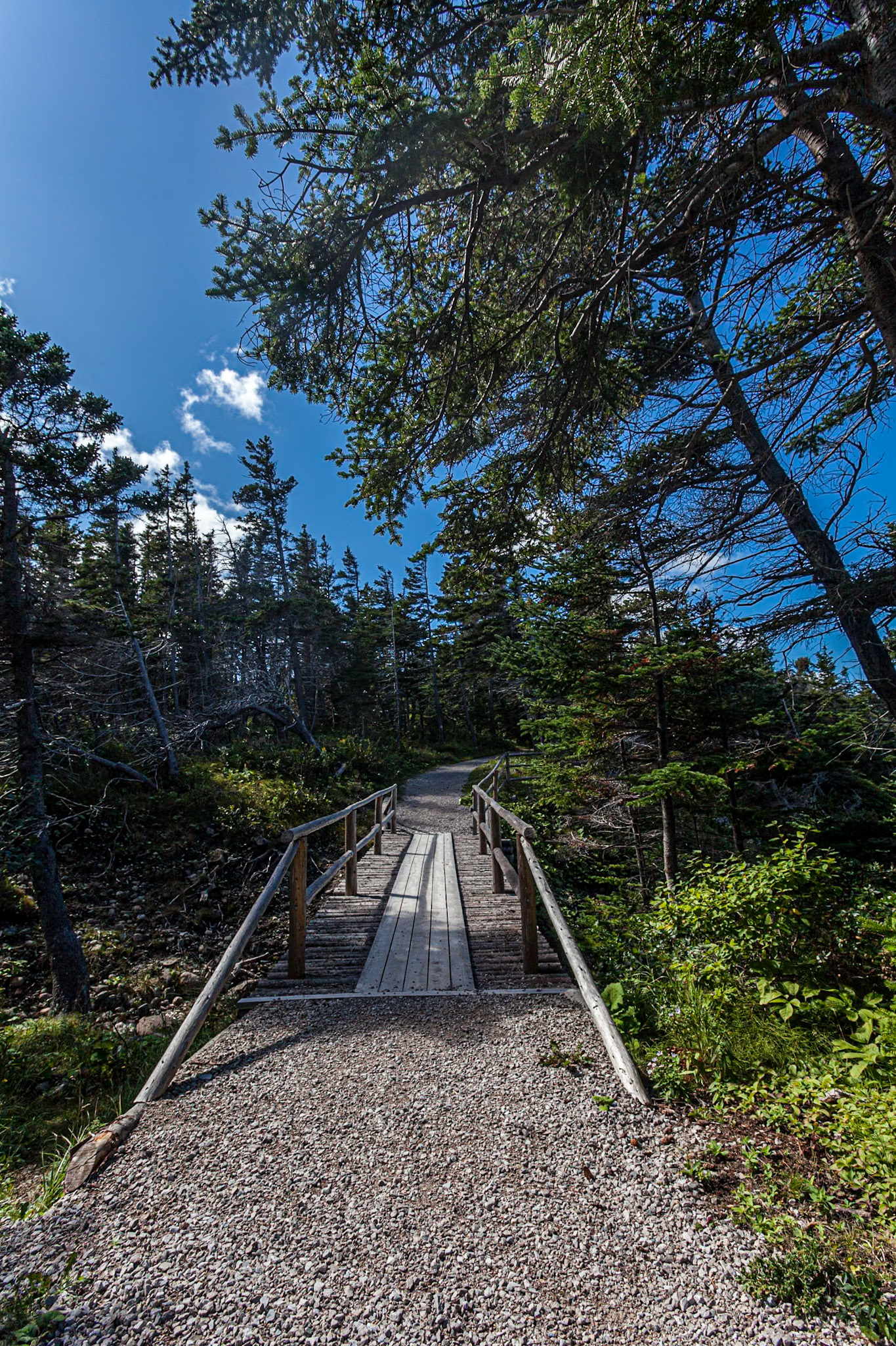 The Gravels Trail