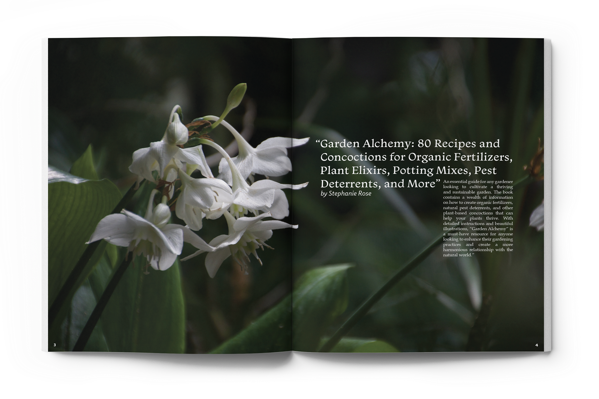 "Backyard Blooming Magazine" Editorial Design / Layout, Photography © Anna Mishler 2023