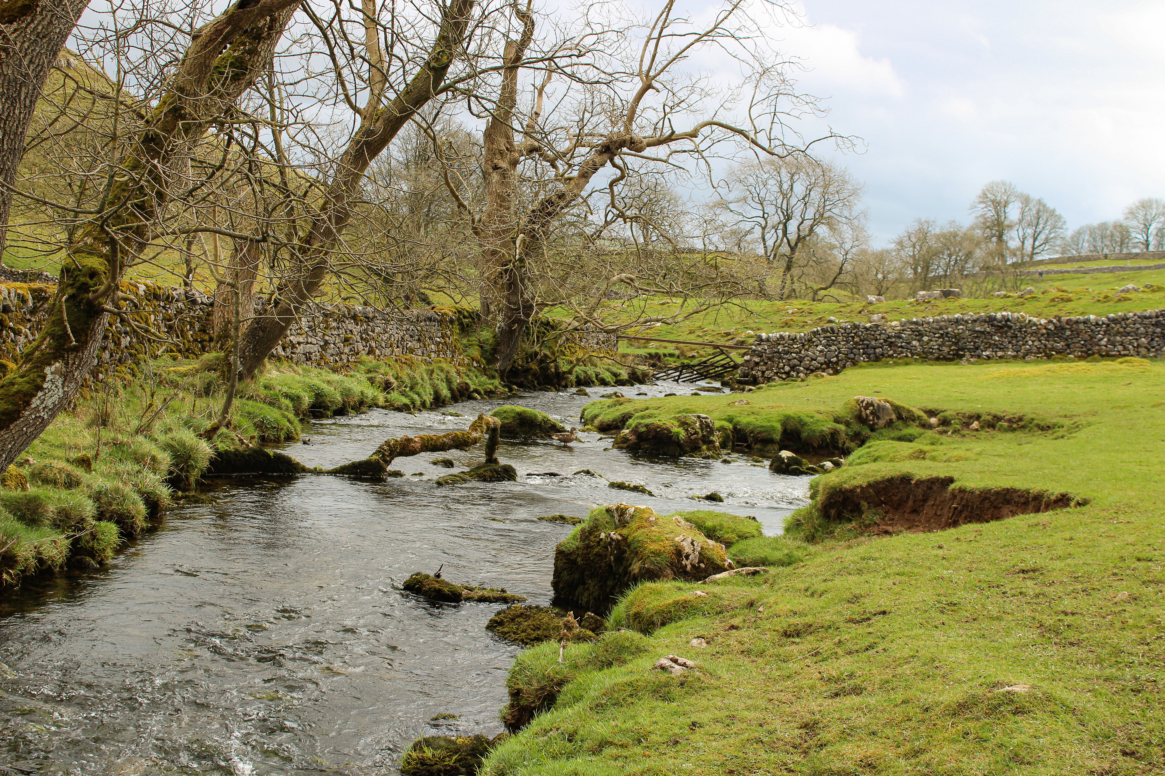 The Stream at Malham Cove. March 2019.