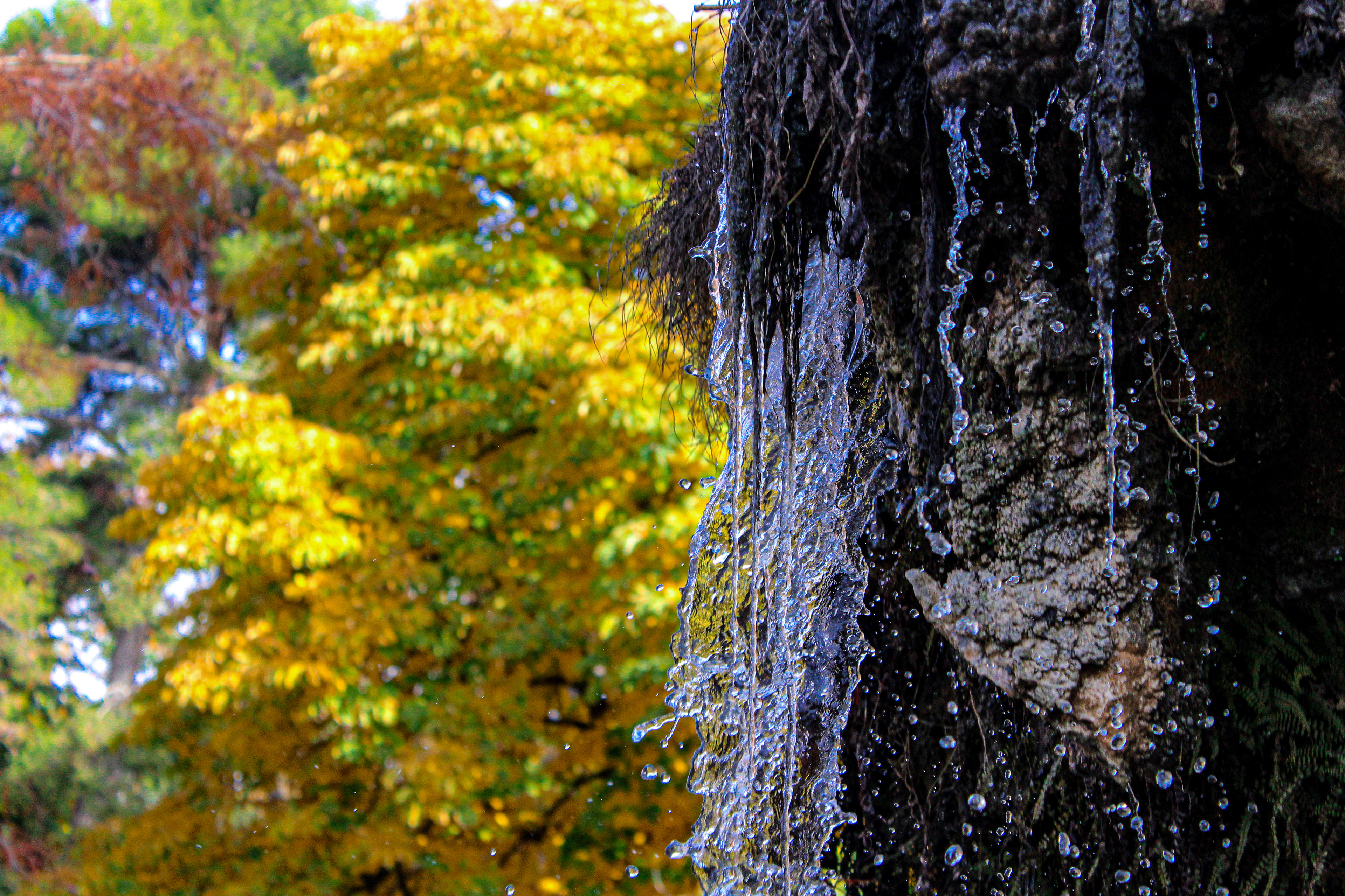 Agua. Madrid, Spain. November 2018.
