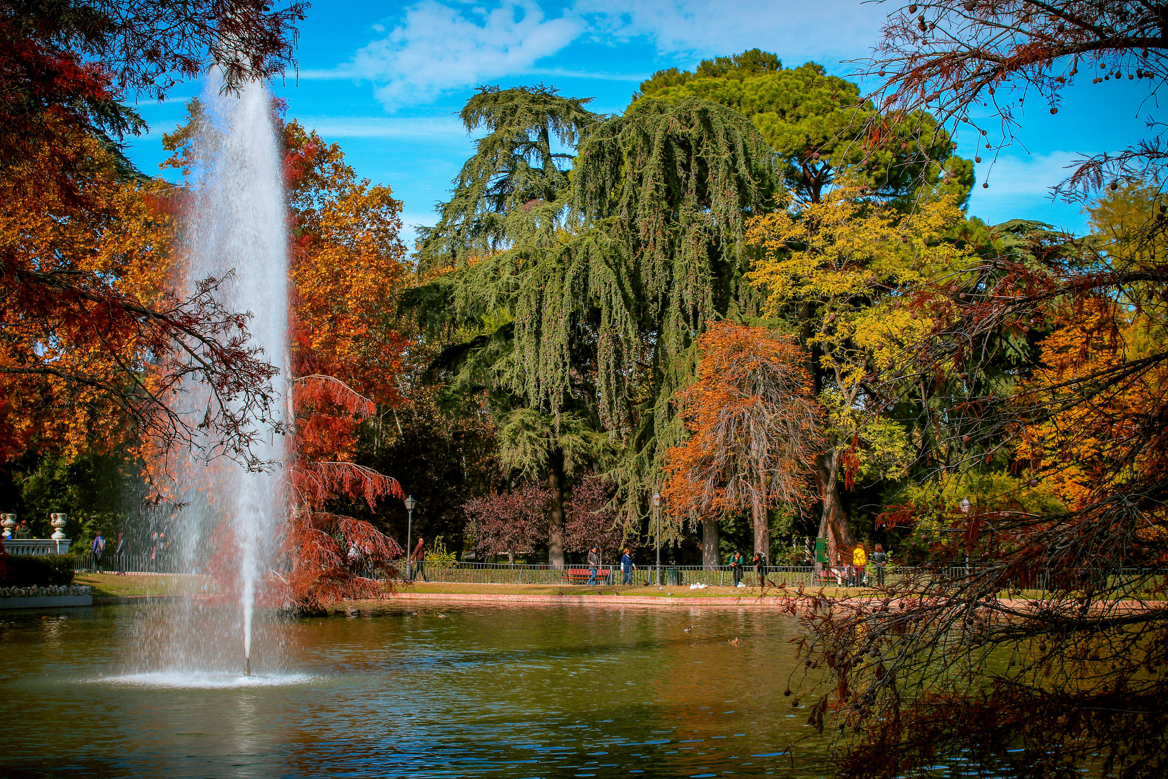 El Otoño. Madrid, Spain. November 2018.