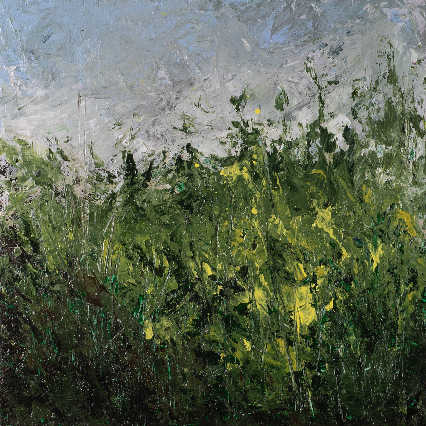 Untitled, 25cm x 25cm, Acrylics on Wood Panel