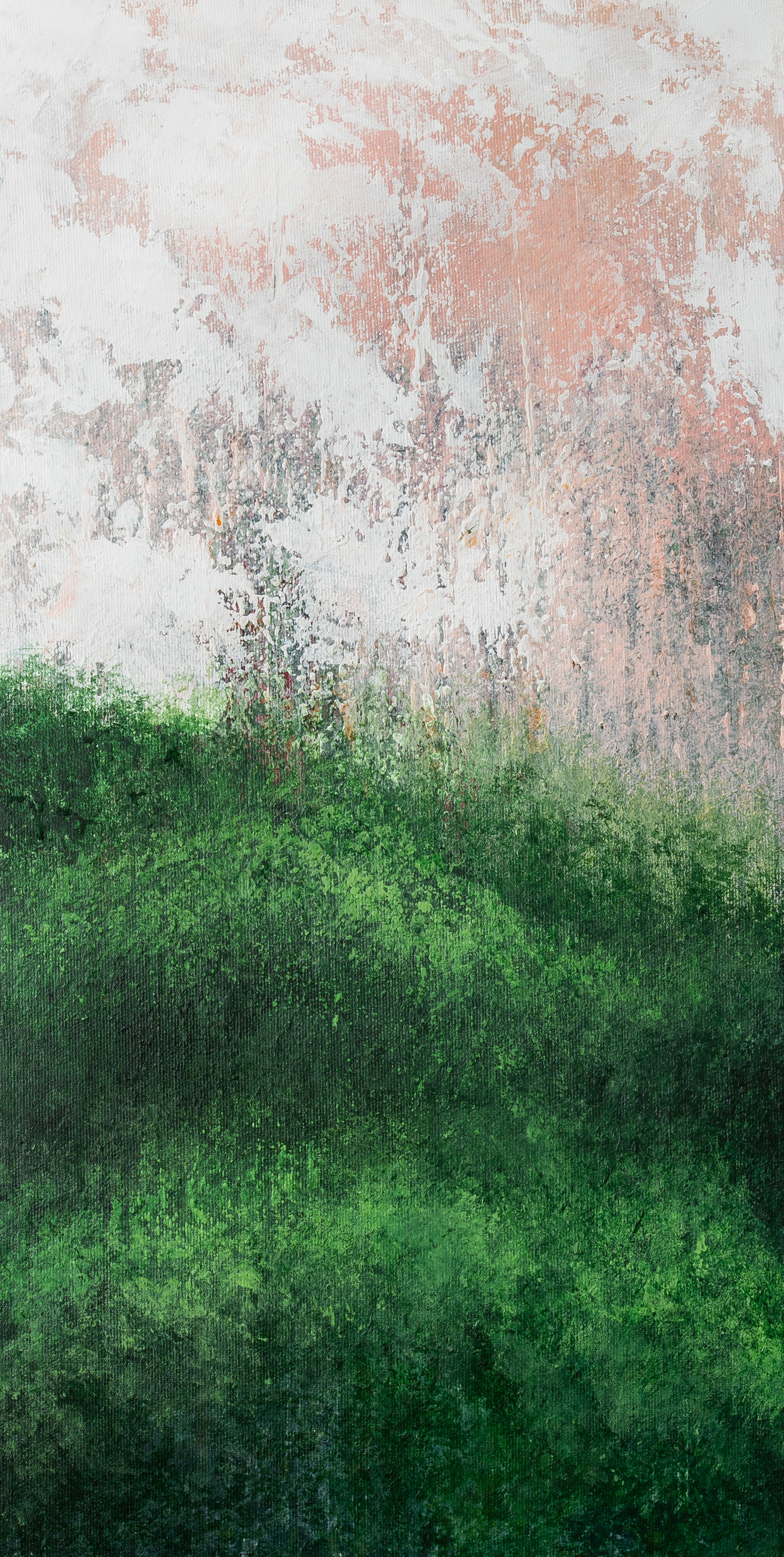 diptych 01, 30cm x 60cm, Acrylics on Canvas