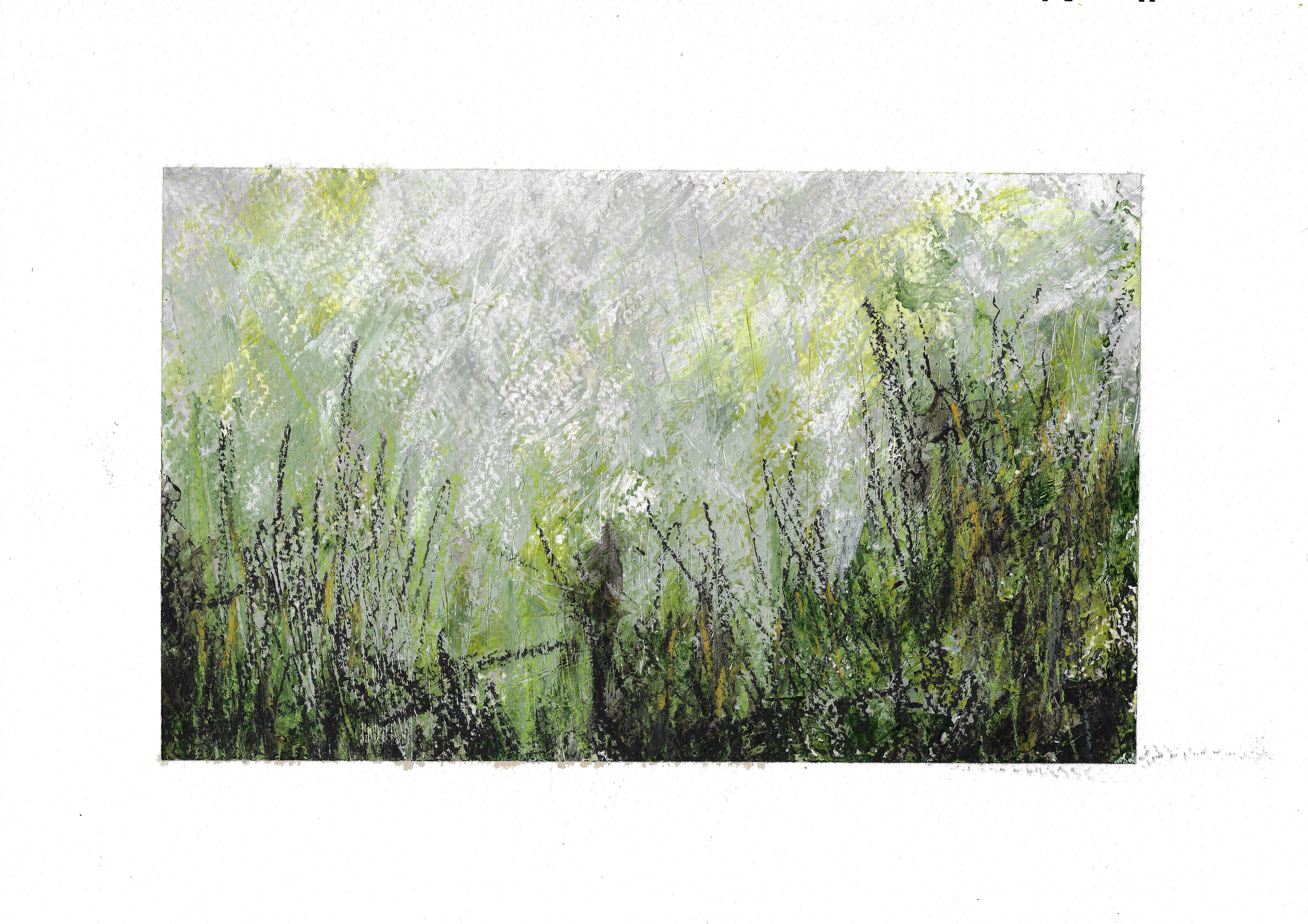 Grasscape No. 1, 42cm x 33cm, Acrylics and Oil Pastels on Watercolour Paper