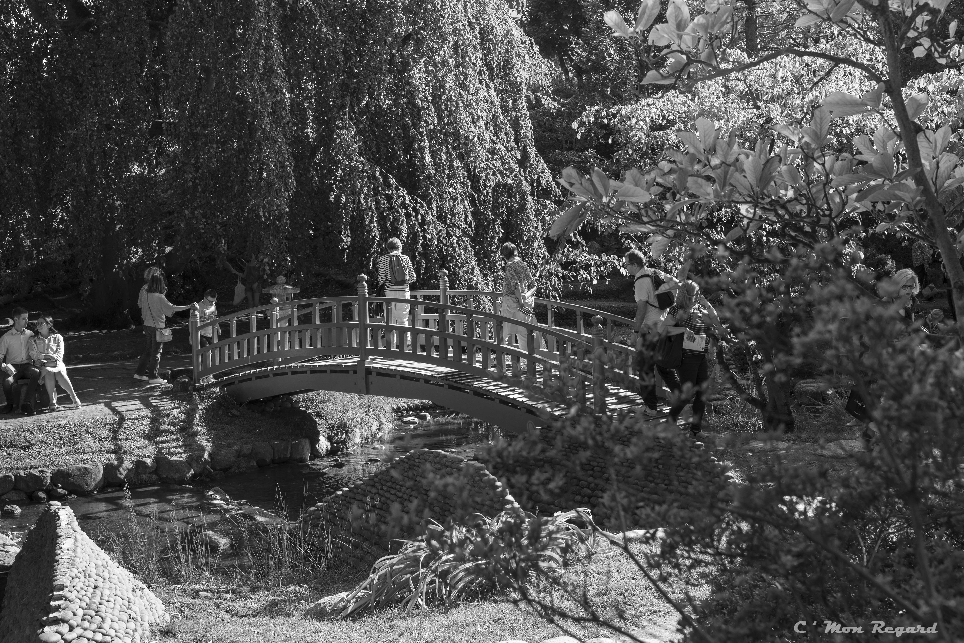 Jardin Albert-Kahn
