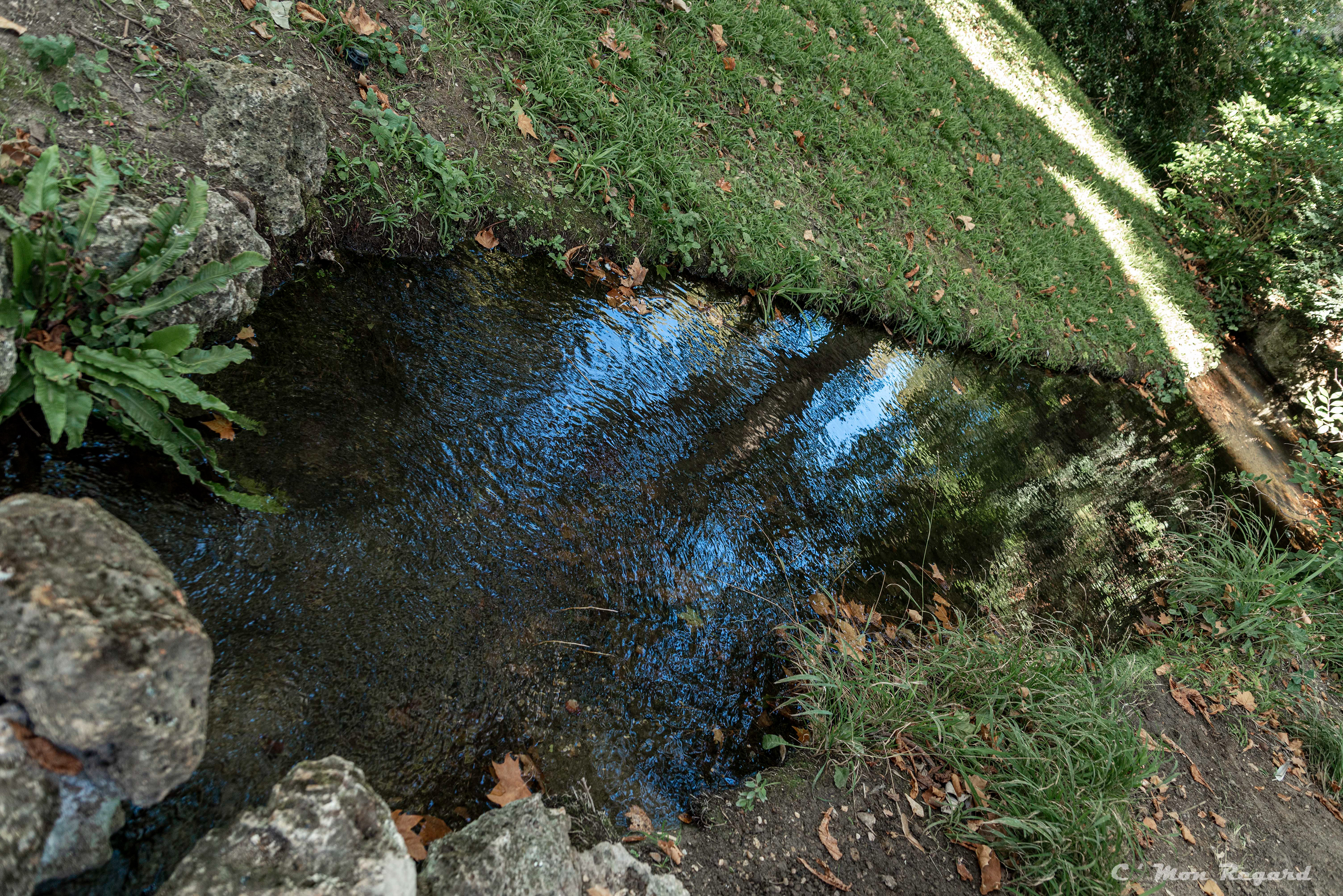 Jardin Albert-Kahn