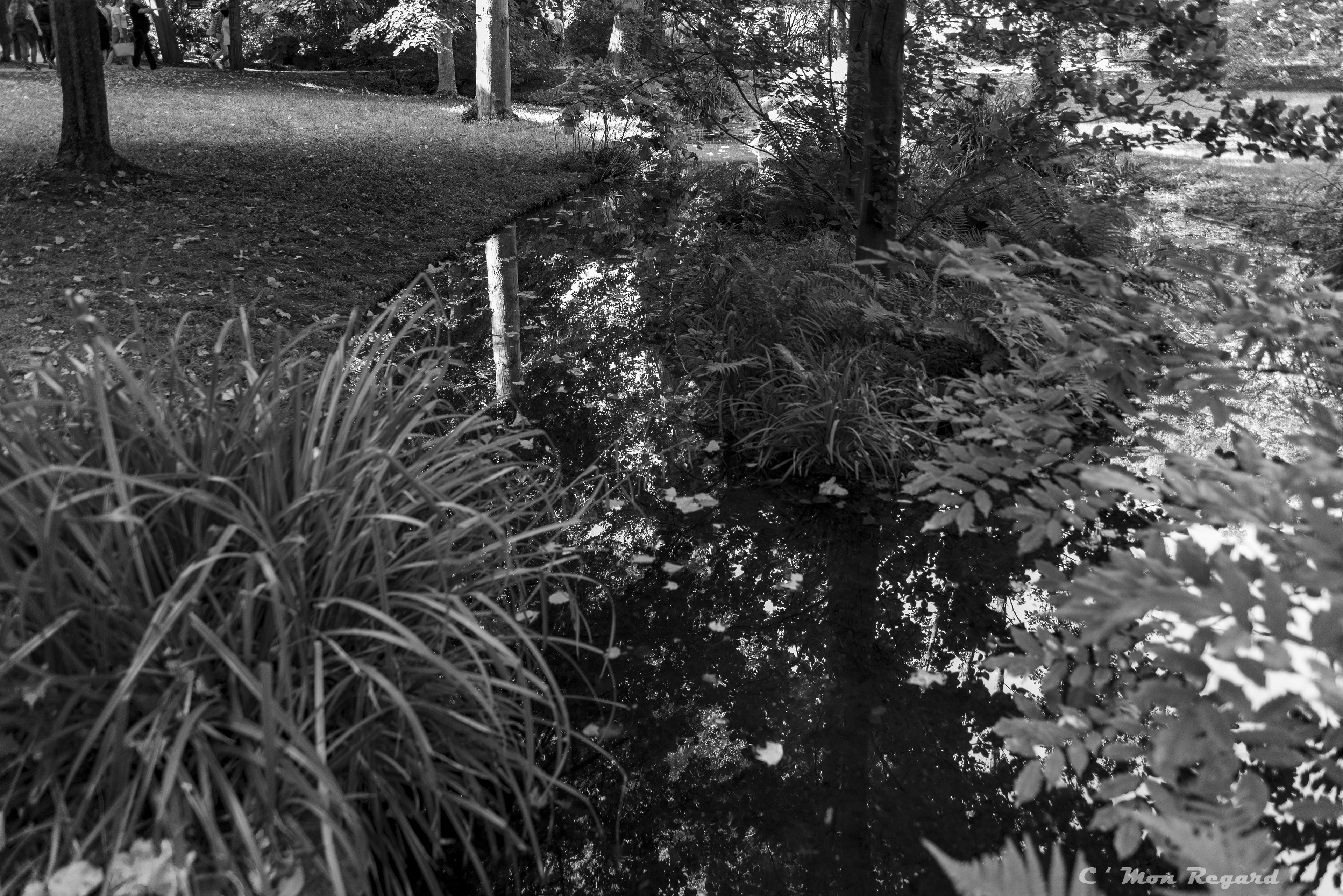 Jardin Albert-Kahn