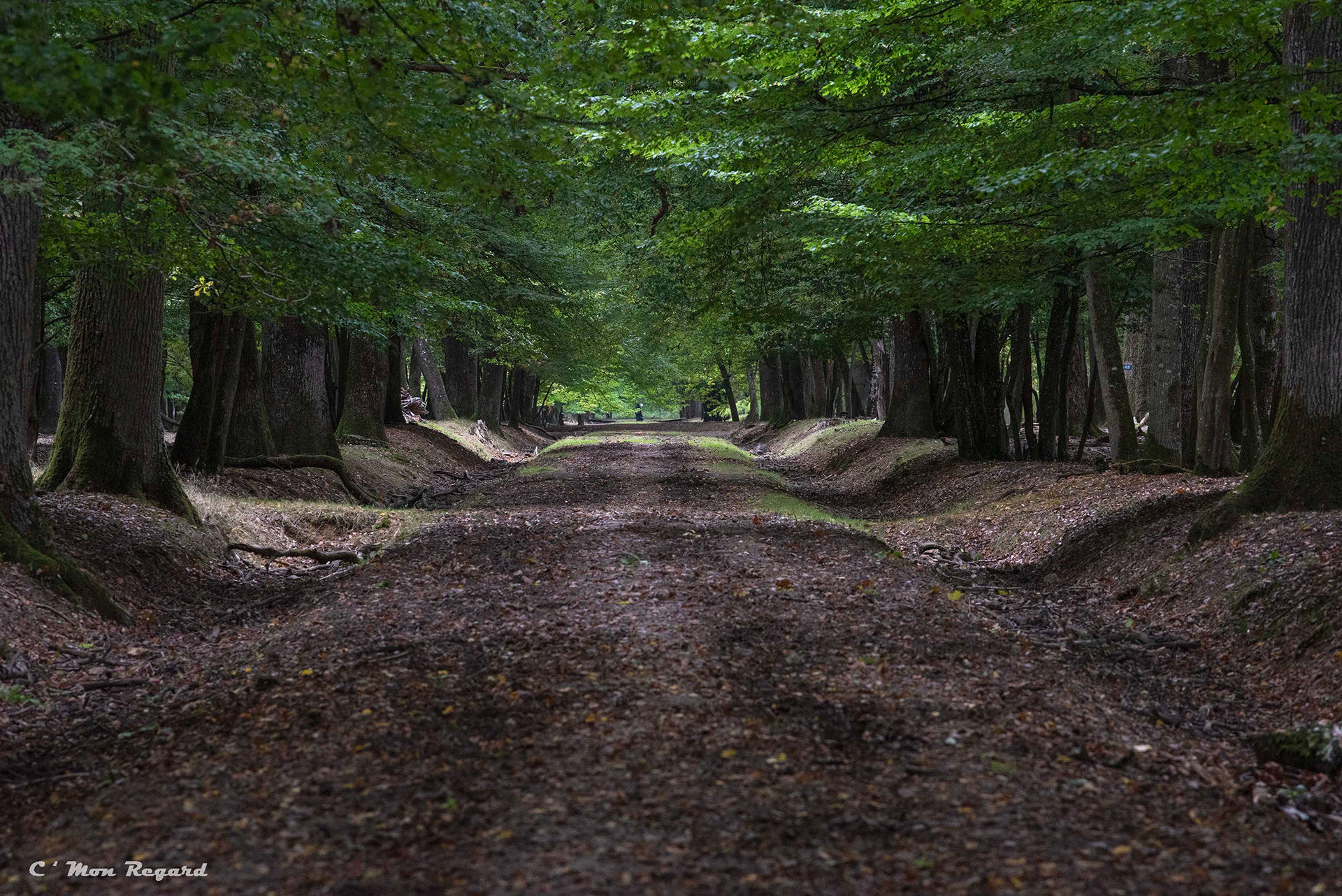 Rambouillet