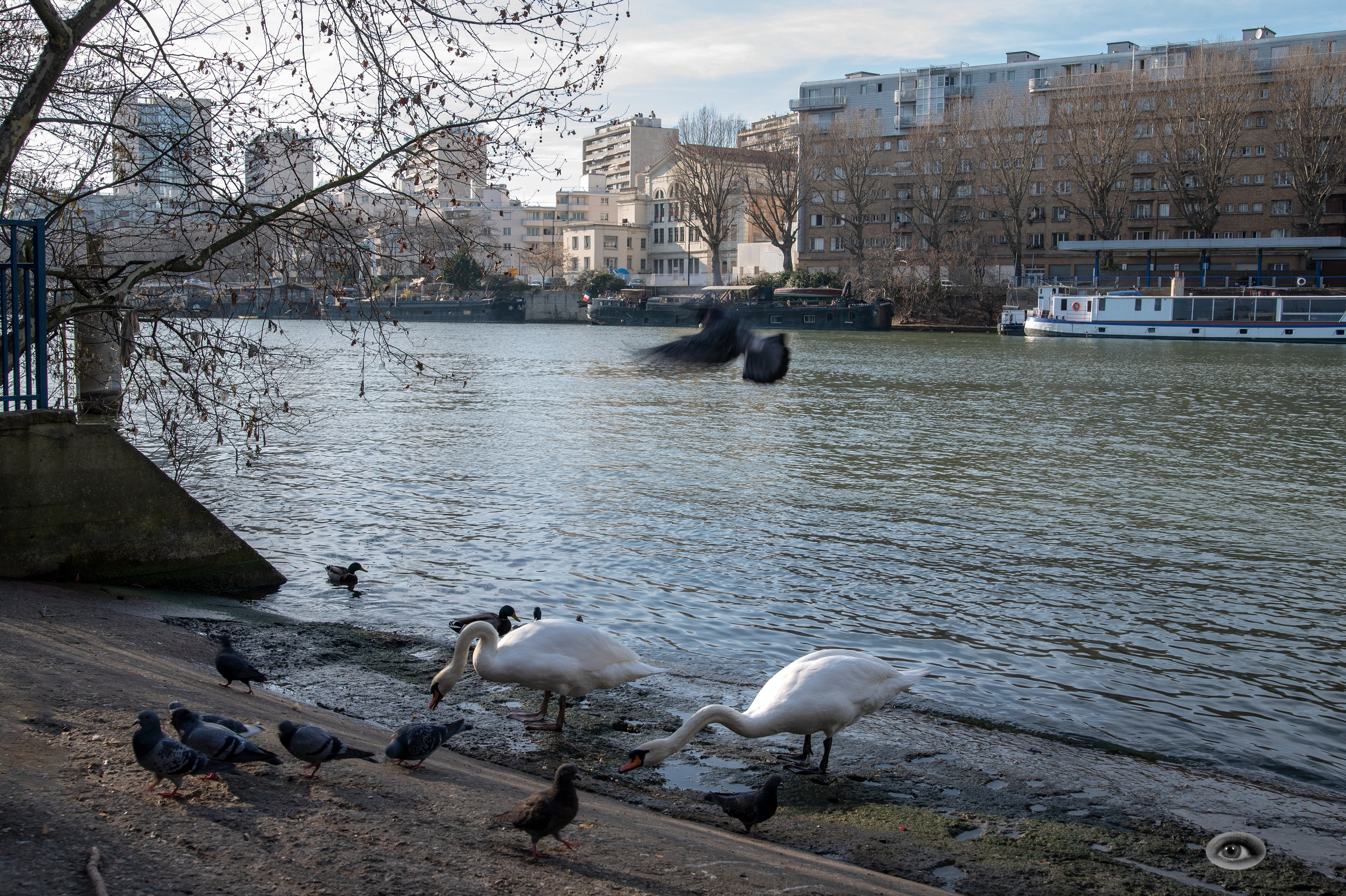 Ile St.Germain