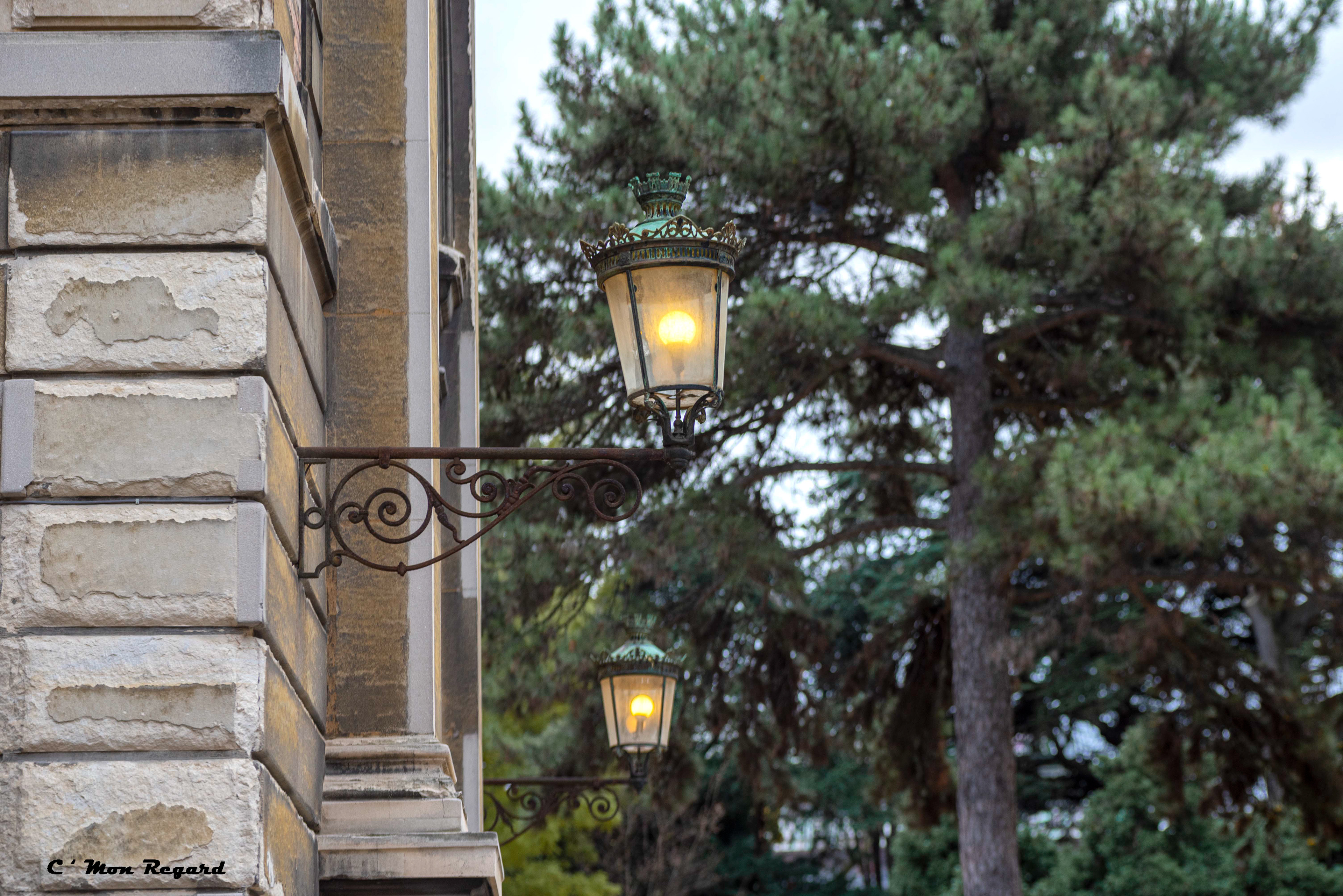 Jardin des Plantes