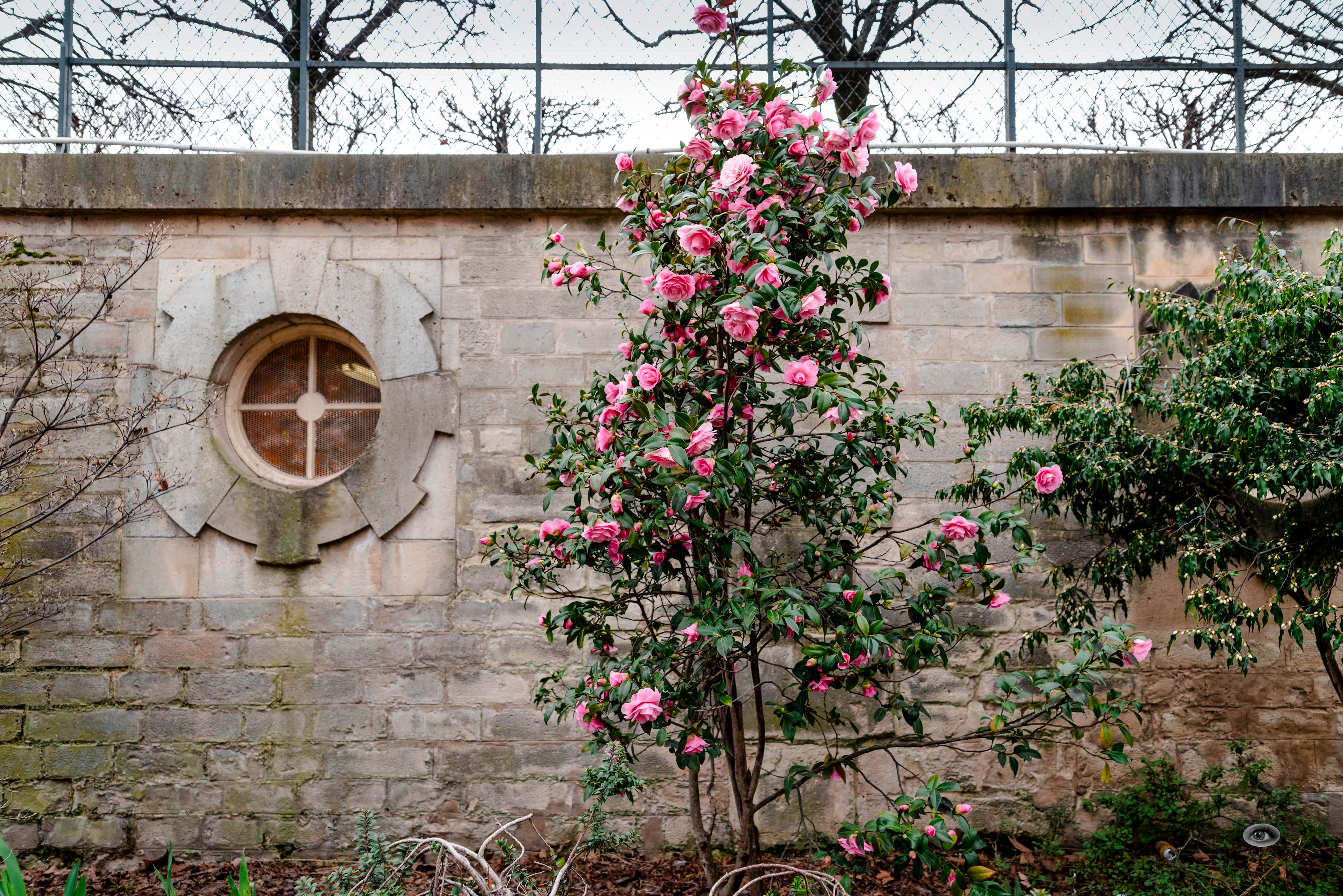 Tuileries
