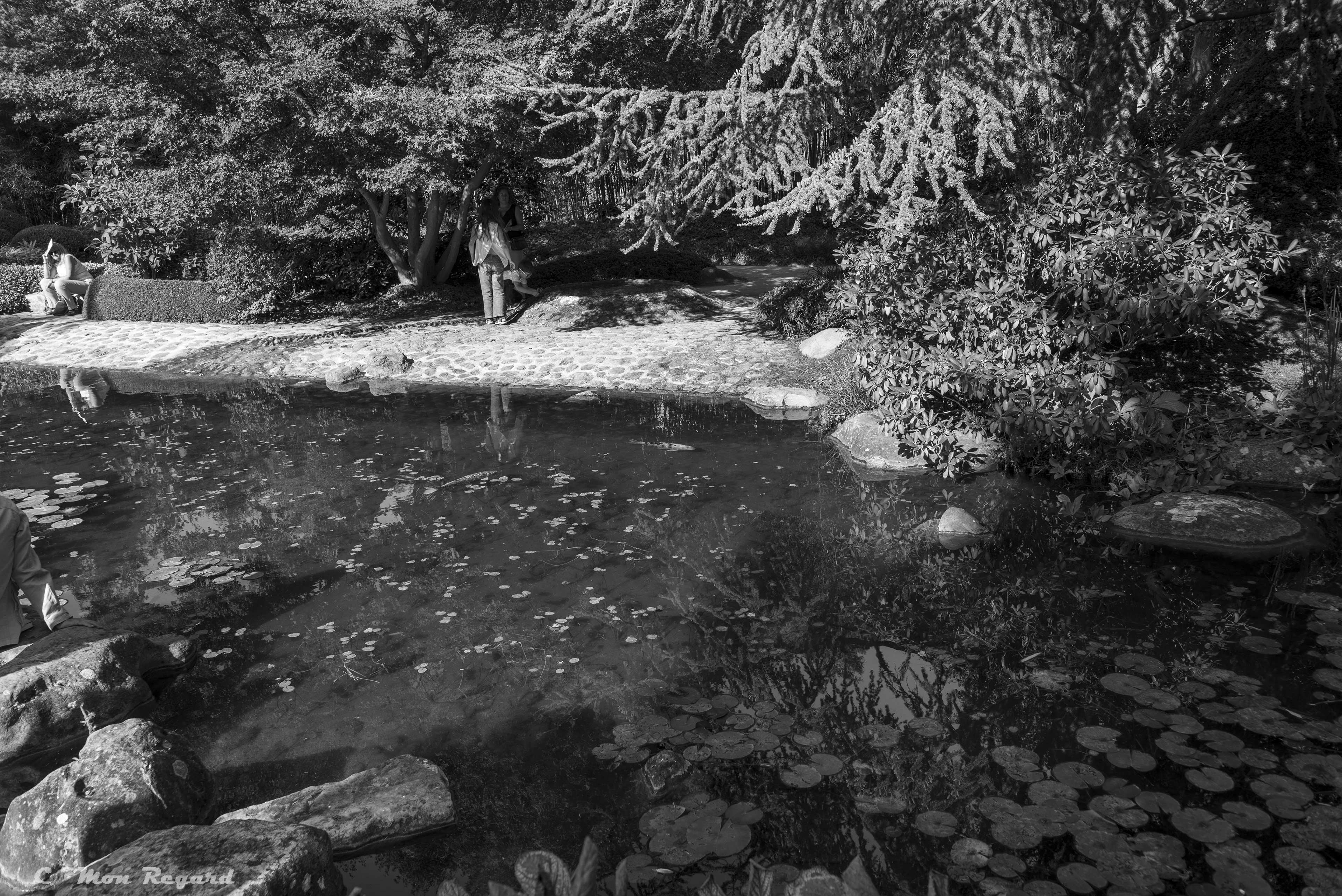 Jardin Albert-Kahn