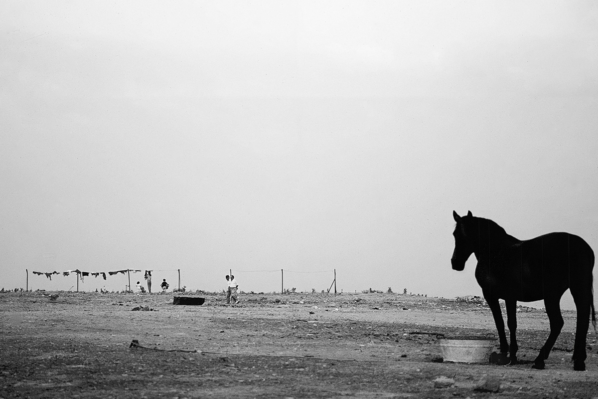 Il Cavallo di Baeza