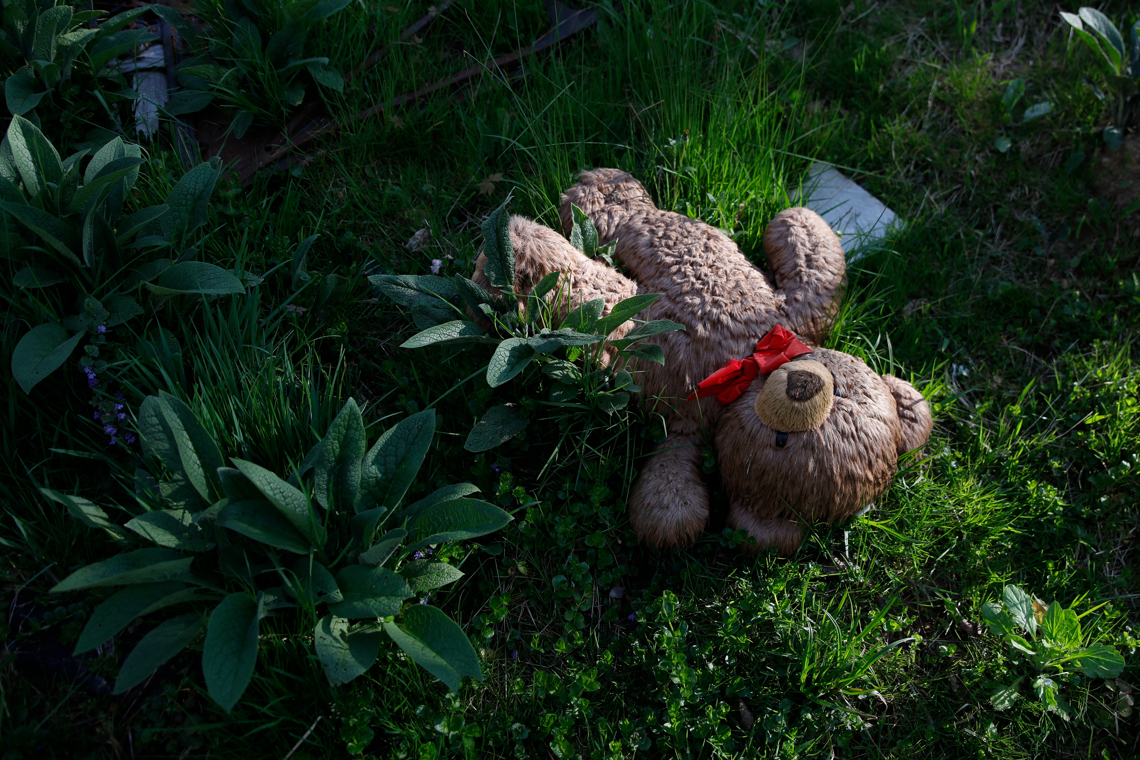 A stuffed toy bear lays in the grass at Skatopia in Rutland, Ohio, April 16, 2024.