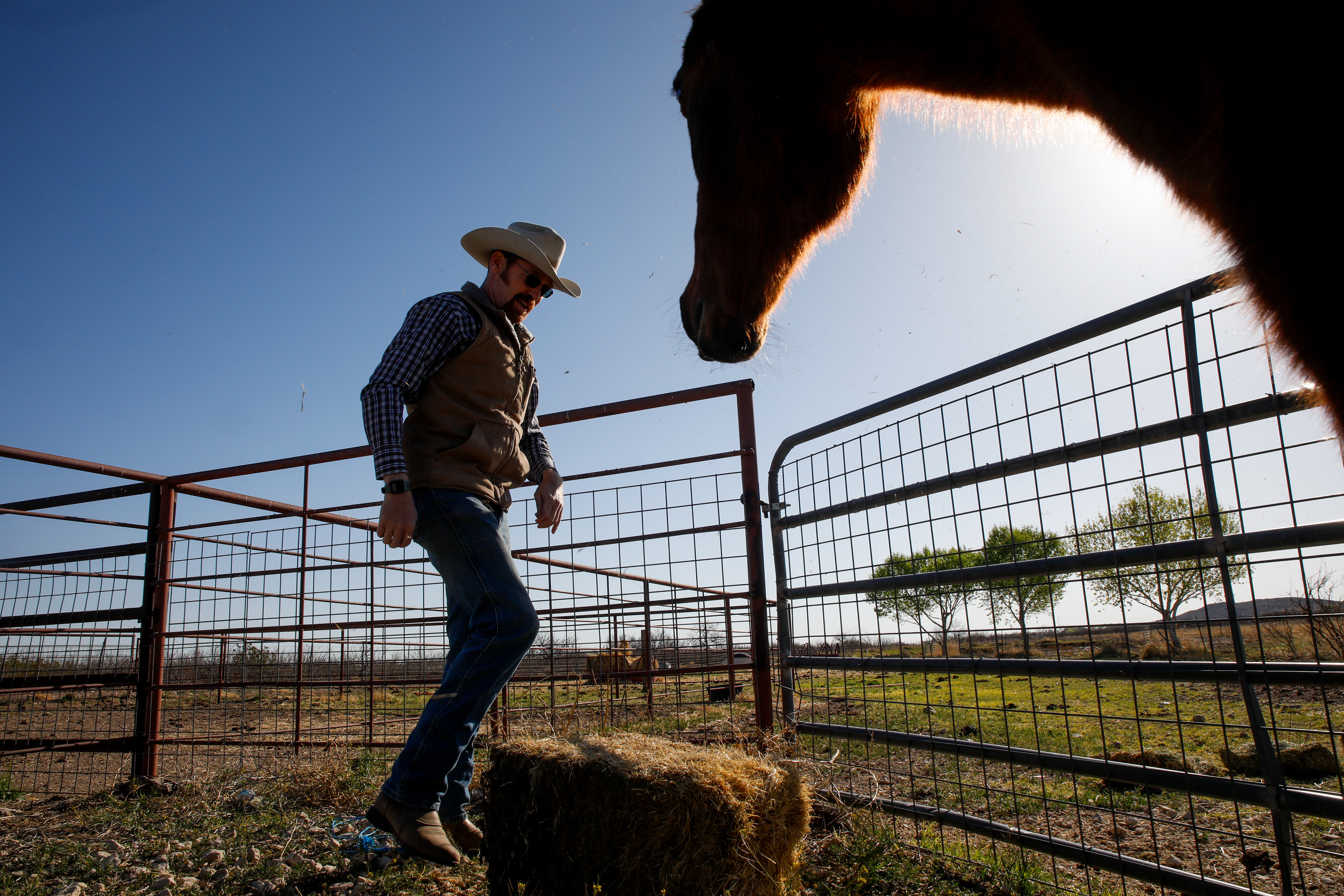 Jack Armstrong prepares to throw a bale of hay and alfalfa over the fence into a pen of Texas Longhorns while his horse watches at their family ranch in Balmorhea, Texas, March 11, 2024. Their ranch house and farm sits on over 40 acres of land in the small town in West Texas of 398 citizens. There, Jack and his mother run the farm, grow alfalfa, and raise the cattle. 
