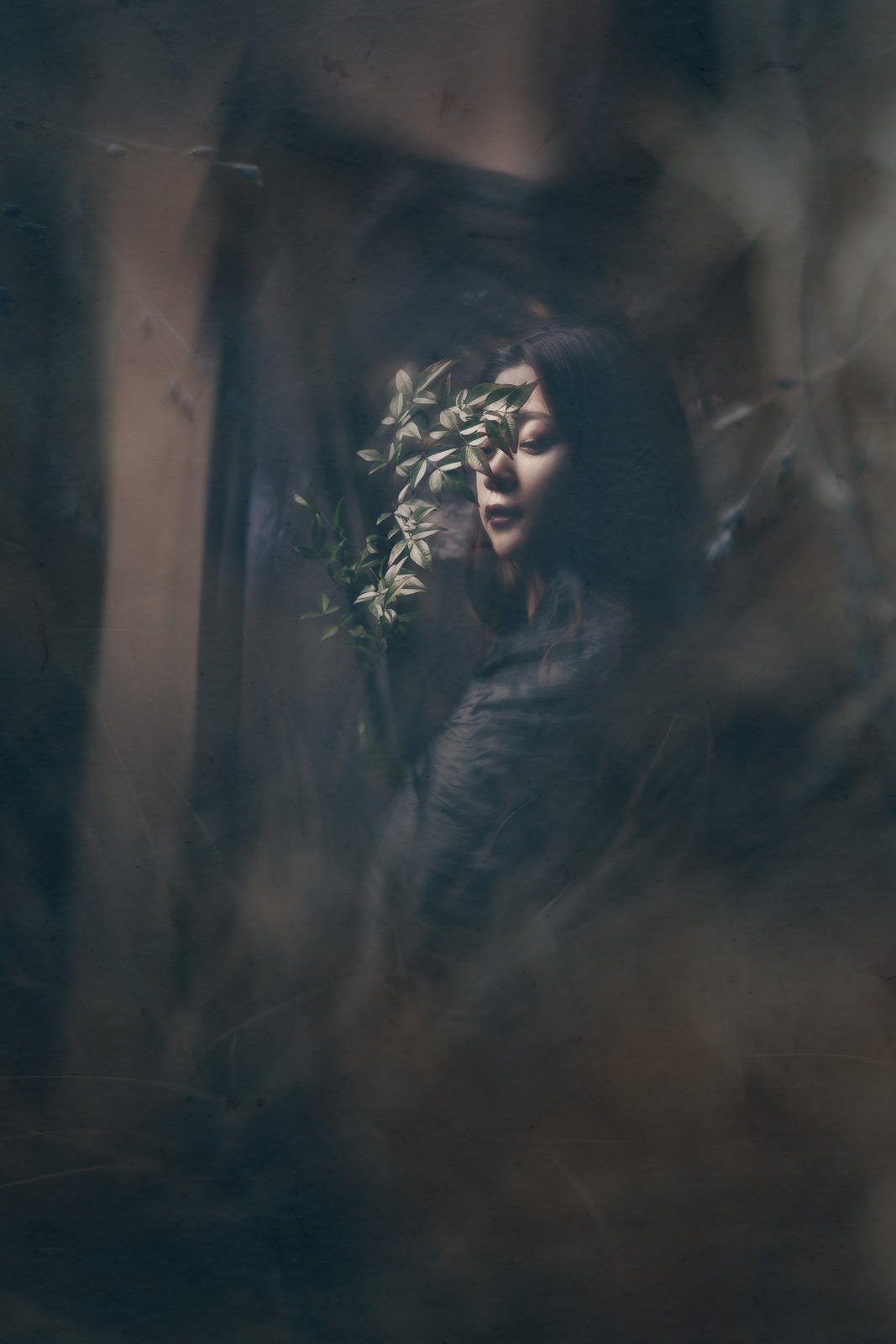 Photography by © Ewa Brykowska. All Rights Reserved.