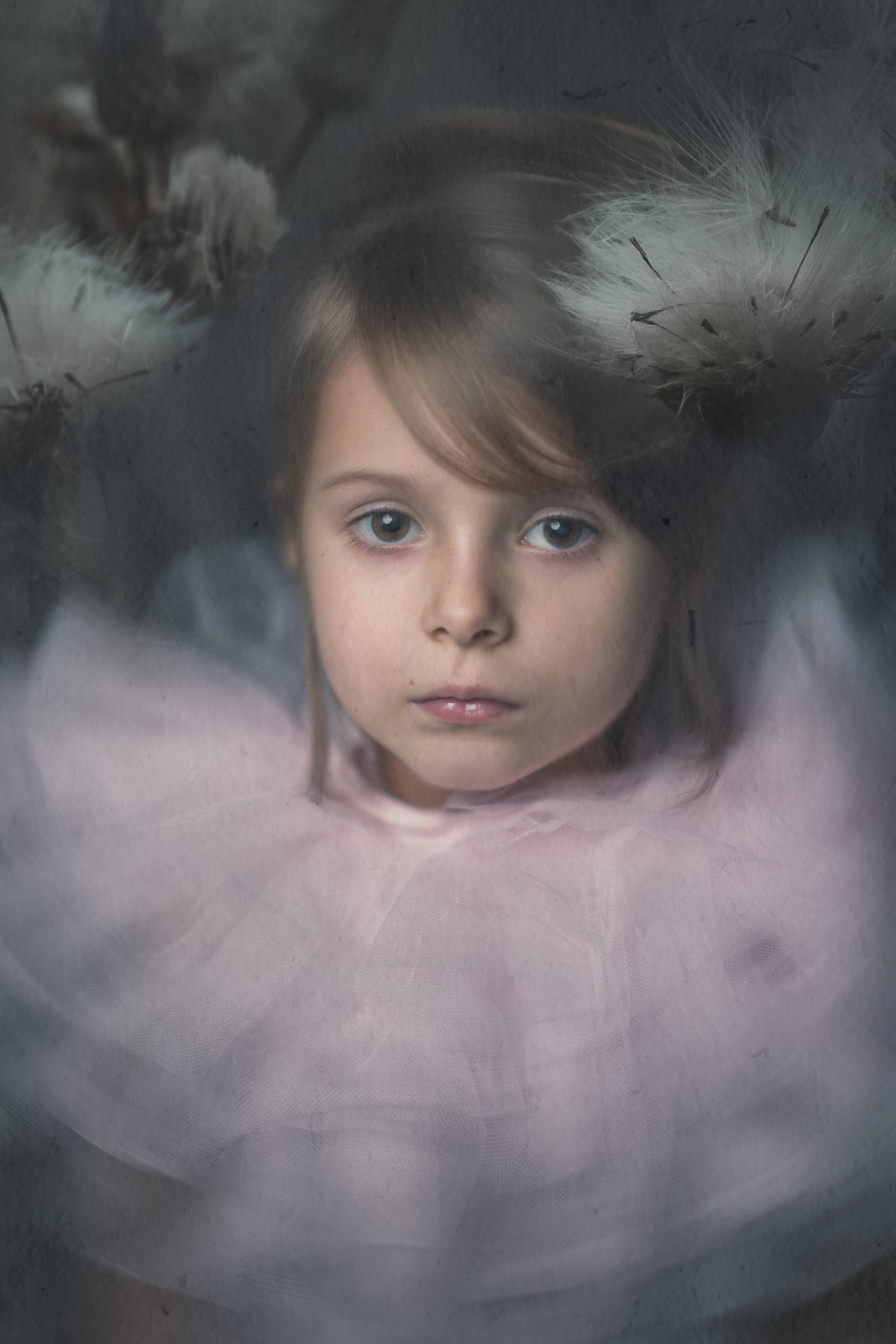 Photography by © Ewa Brykowska. All Rights Reserved.