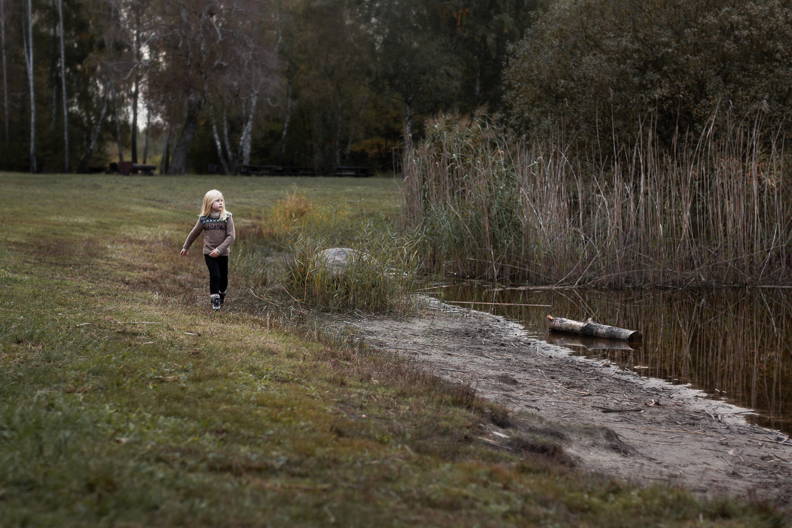 Photography by © Ewa Brykowska. All Rights Reserved.