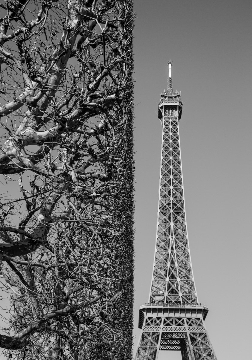 The Eiffel Tower, Paris, France. Photography by © Ewa Brykowska. All Rights Reserved.