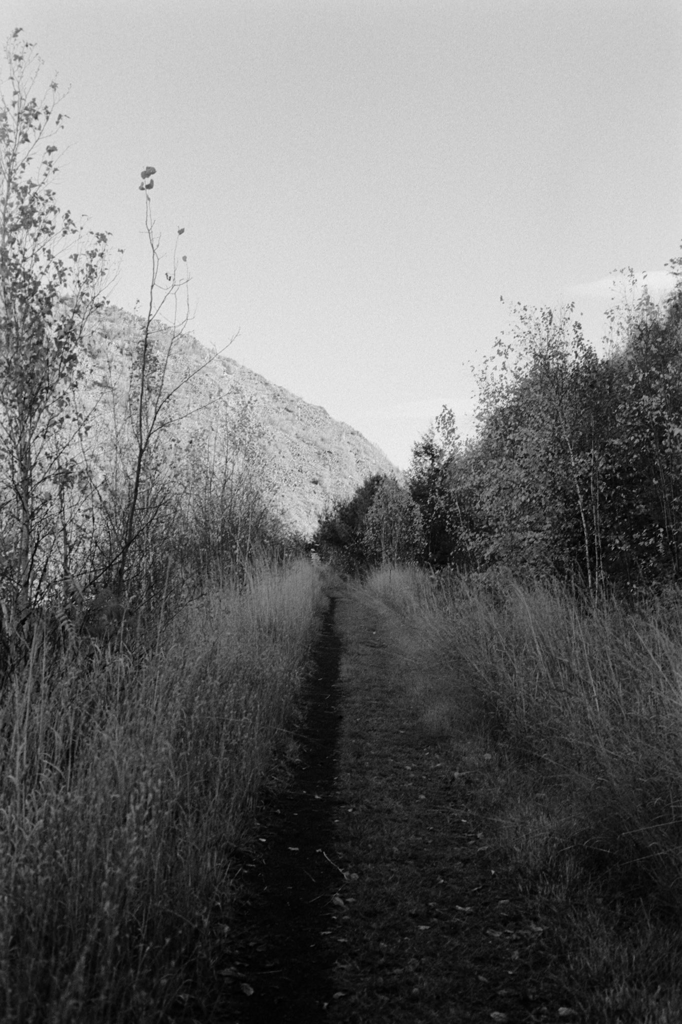 Nikon N90s | Nikon 28mm f/2.8 | Eastman XX 250Digitized with Fujifilm X-T5Home developed in HC-110 BNegative Lab Pro v3.1.1 | Color Model: B+W | Pre-Sat: 3 | Tone Profile: Cinematic - Rich | WB: None | LUT: Frontier