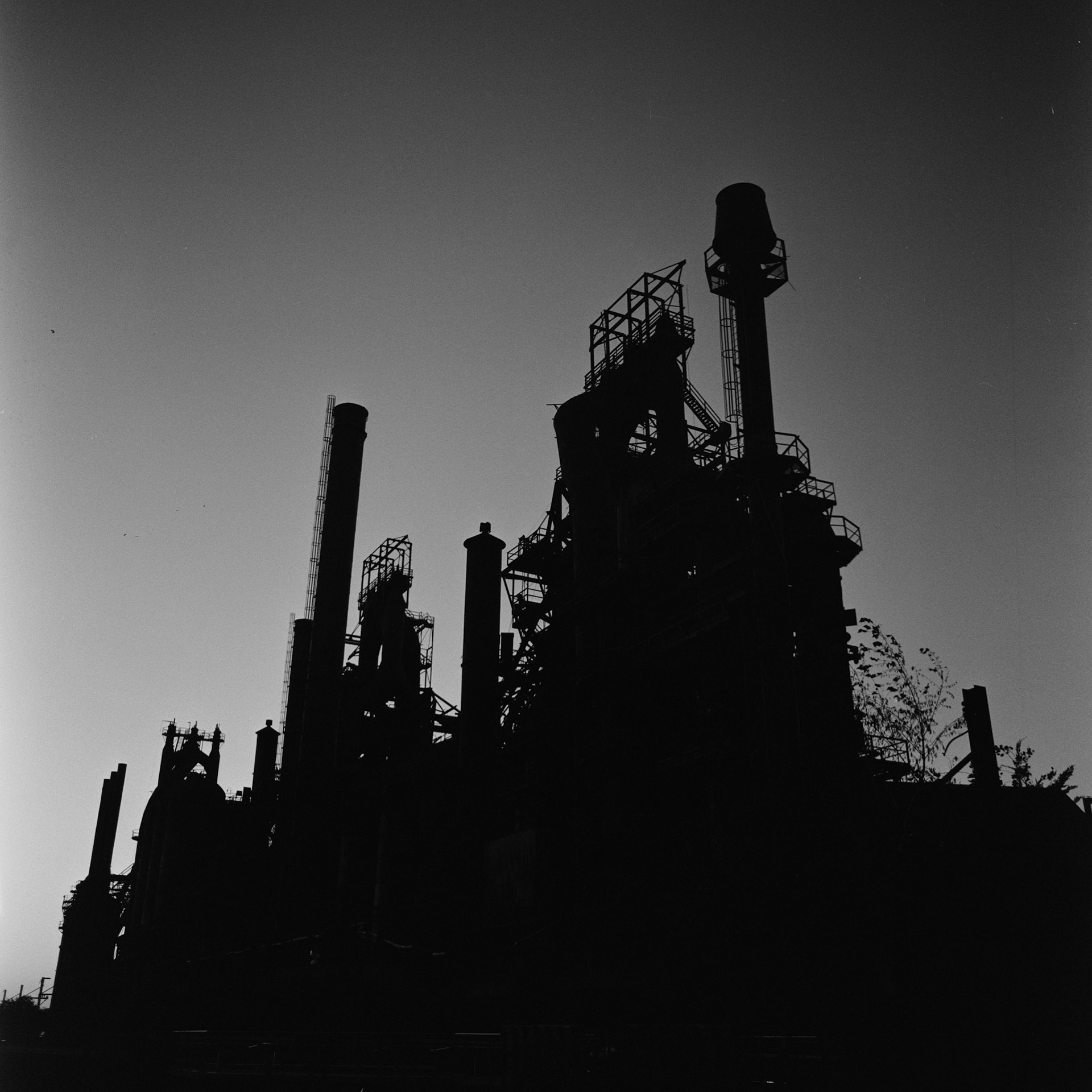 Mamiya C330f | Mamiya 55mm f/4.5 | BwXX 250Digitized with Fujifilm X-T5Negative Lab Pro v3.1.1 | Color Model: B+W | Pre-Sat: 3 | Tone Profile: Cinematic - Rich | WB: None | LUT: Frontier