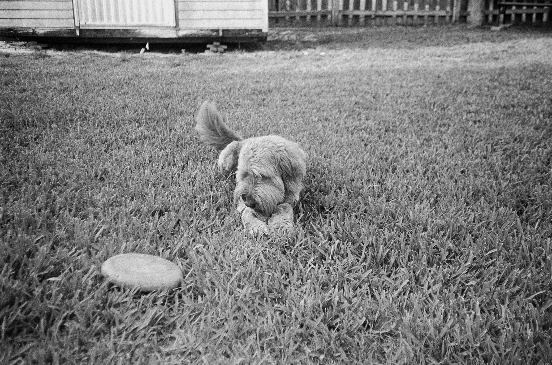 Olympus 35 RC | Tri-X 400