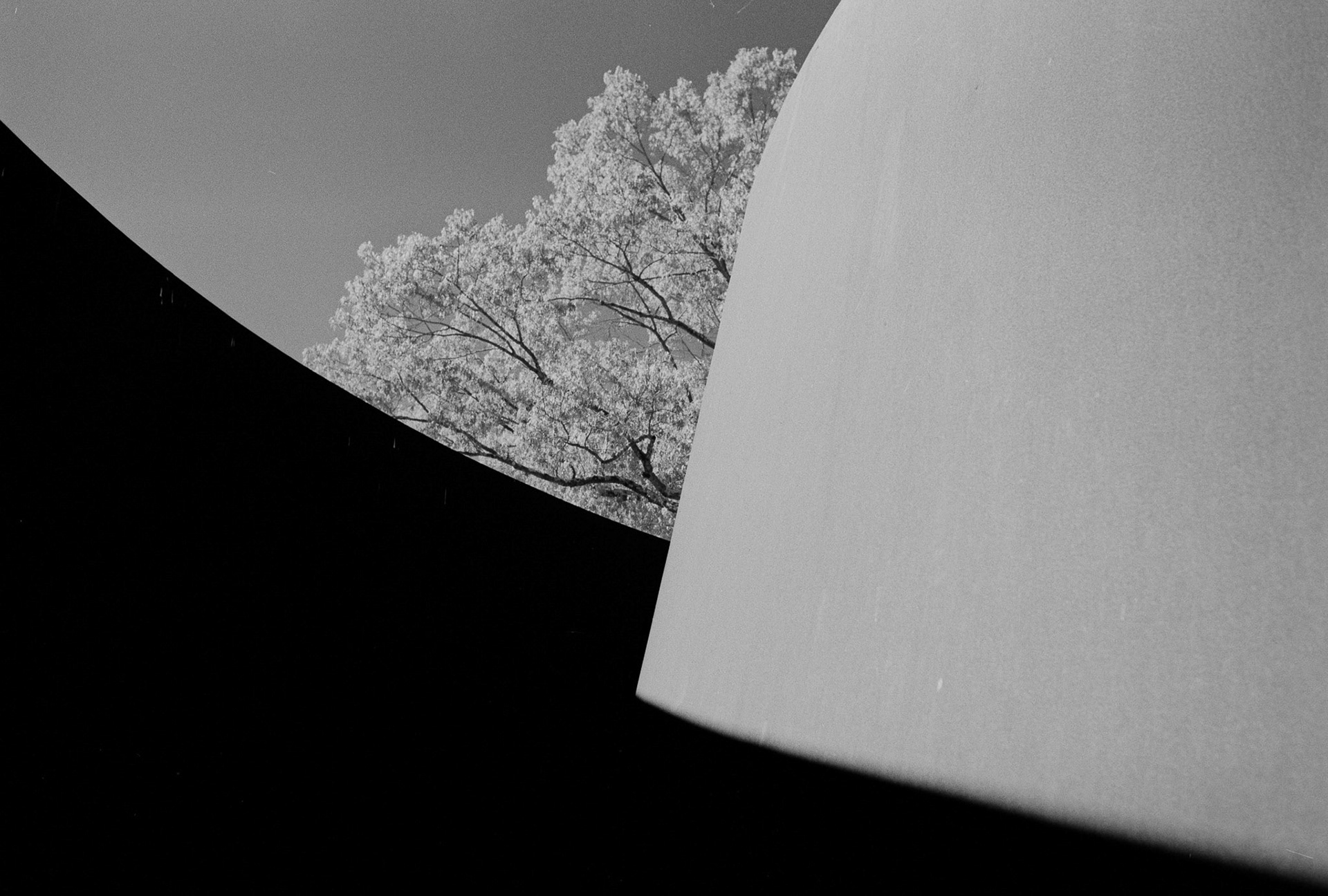 Nikon FM | Rollei Retro 400