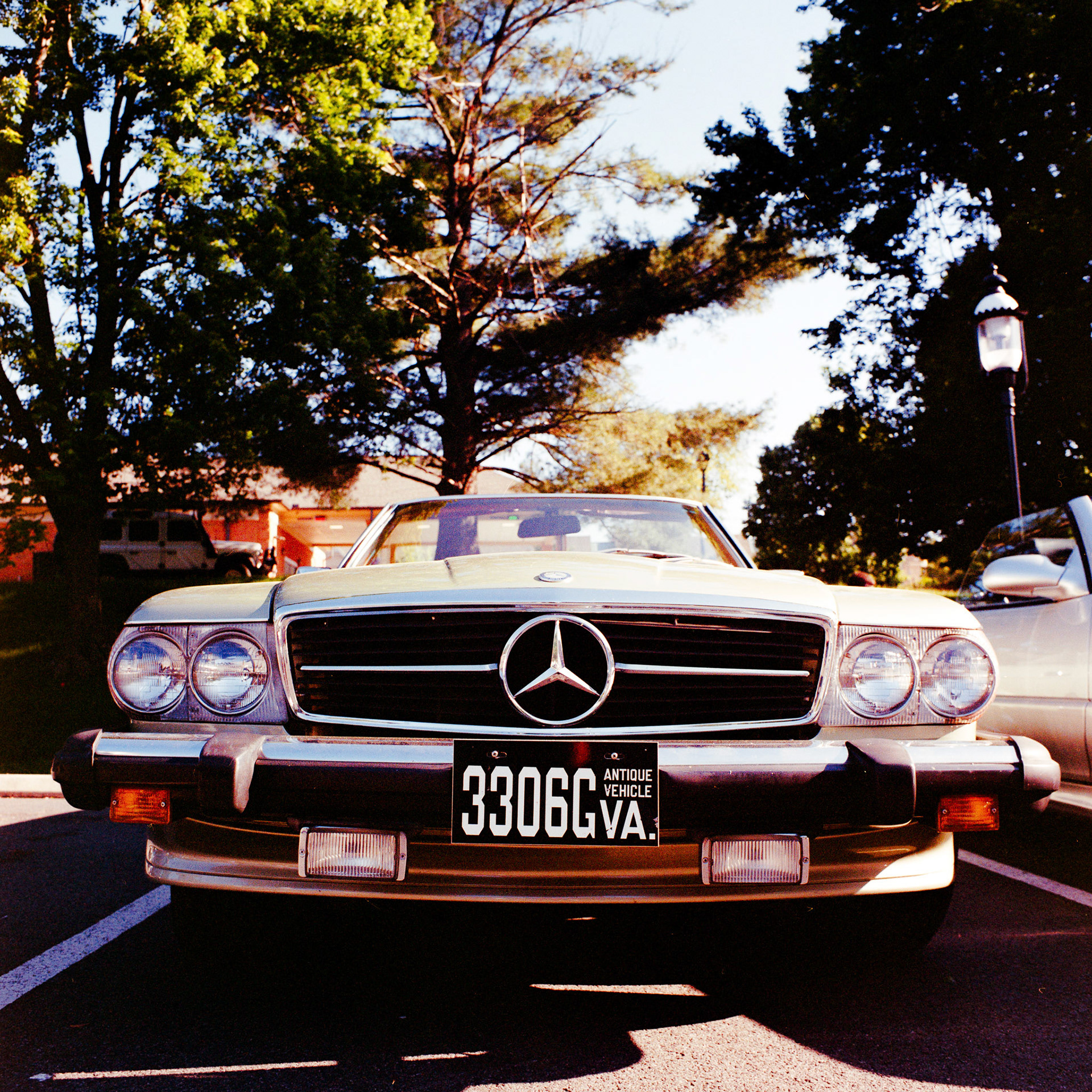 Mamiya C330 | 50mm | Portra 400 Negative Lab Pro v3.0.2 | Color Model: Basic | Pre-Sat: 3 | Tone Profile: Linear | WB: Auto-Warm | LUT: Natural