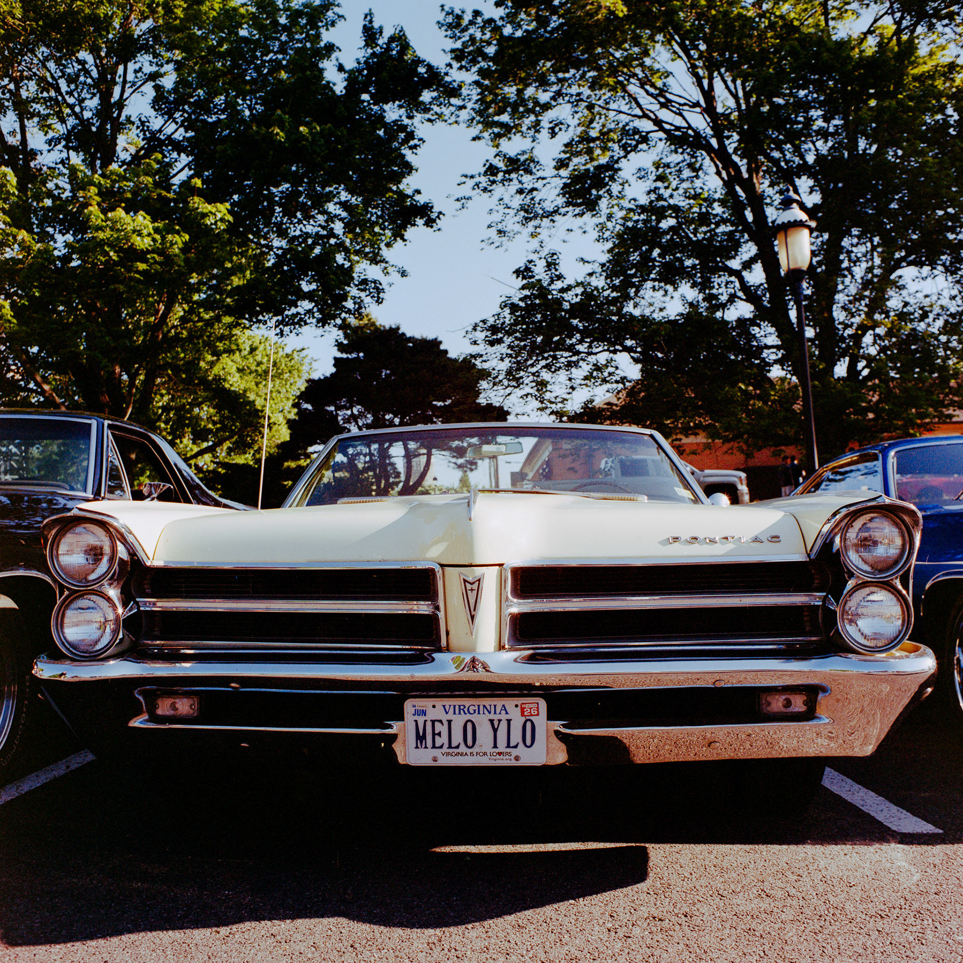 Mamiya C330 | 50mm | Portra 400 Negative Lab Pro v3.0.2 | Color Model: Basic | Pre-Sat: 3 | Tone Profile: Linear | WB: Auto-Warm | LUT: Natural