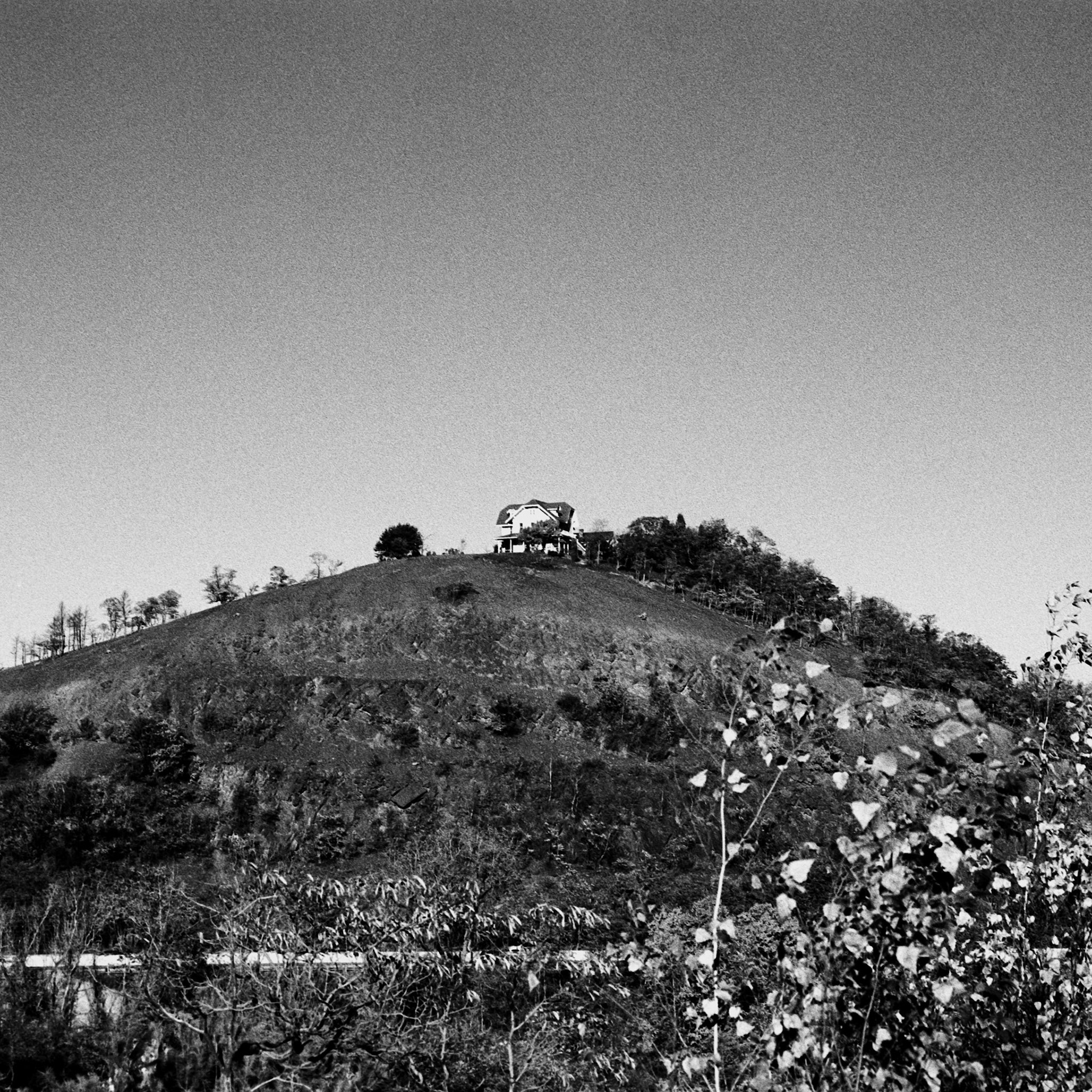 Nikon N90s | Nikon 28mm f/2.8 | Eastman XX 250Digitized with Fujifilm X-T5Home developed in HC-110 BNegative Lab Pro v3.1.1 | Color Model: B+W | Pre-Sat: 3 | Tone Profile: Cinematic - Rich | WB: None | LUT: Frontier