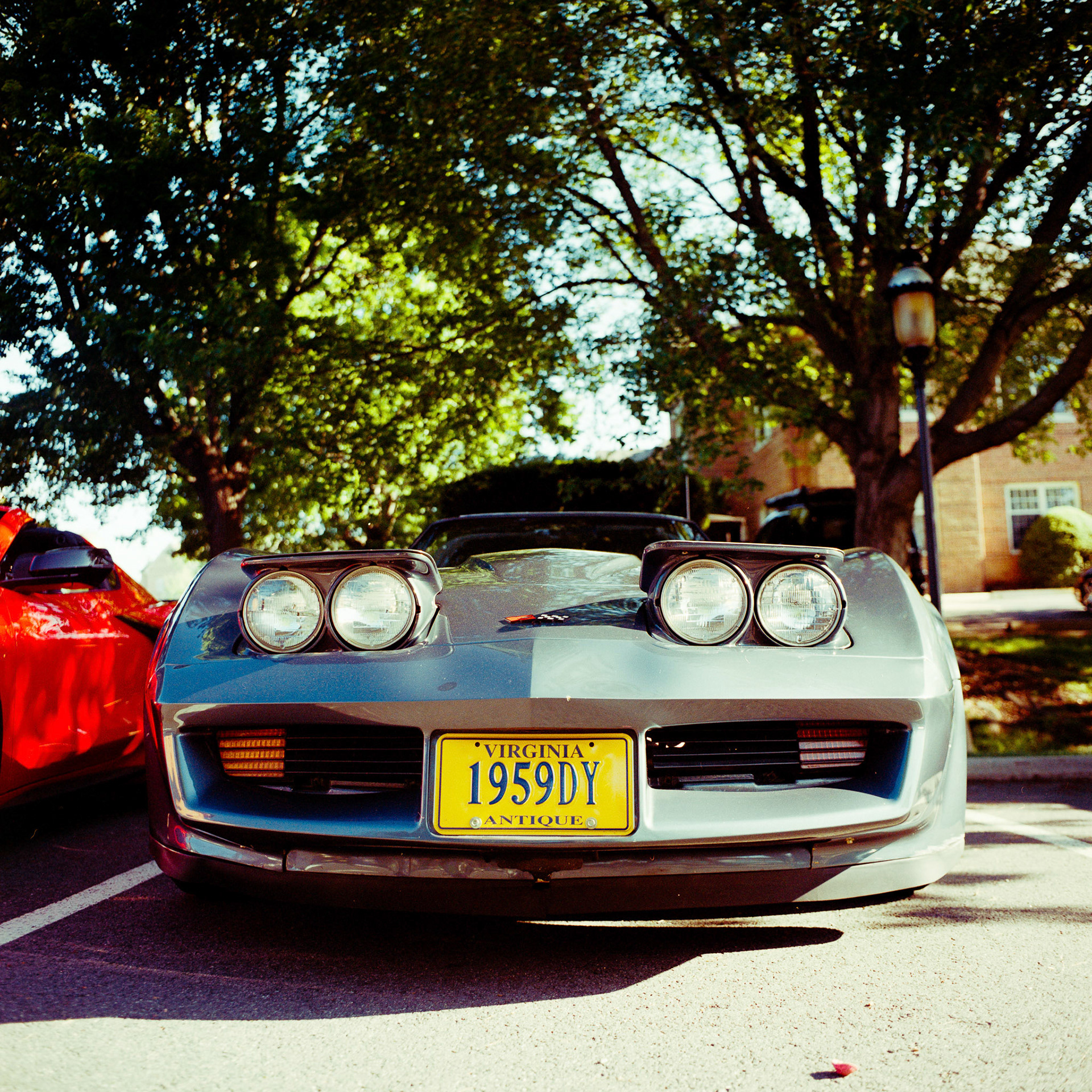 Mamiya C330 | 50mm | Portra 400 Negative Lab Pro v3.0.2 | Color Model: Basic | Pre-Sat: 3 | Tone Profile: Linear | WB: Auto-Warm | LUT: Natural