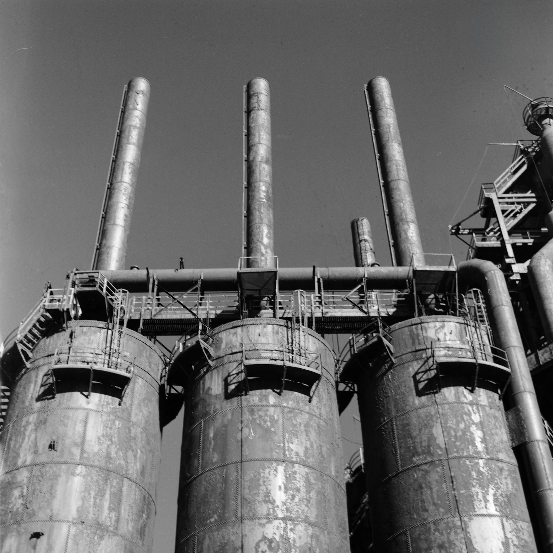 Mamiya C330f | Mamiya 80mm | Acros II 100Digitized with Fujifilm X-T5Home developed in HC-110 BNegative Lab Pro v3.1.1 | Color Model: B+W | Pre-Sat: 3 | Tone Profile: Cinematic - Log | WB: None | LUT: Frontier