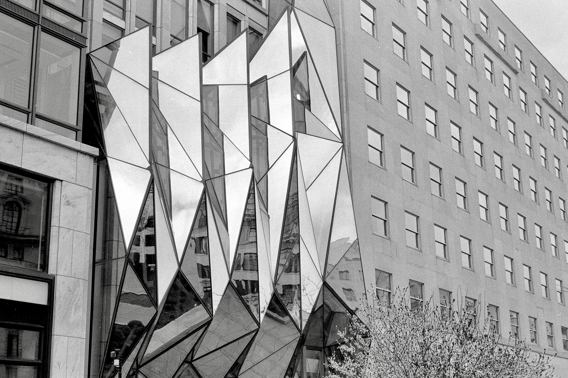 Nikon FM | Kentmere 100 , +1 dev