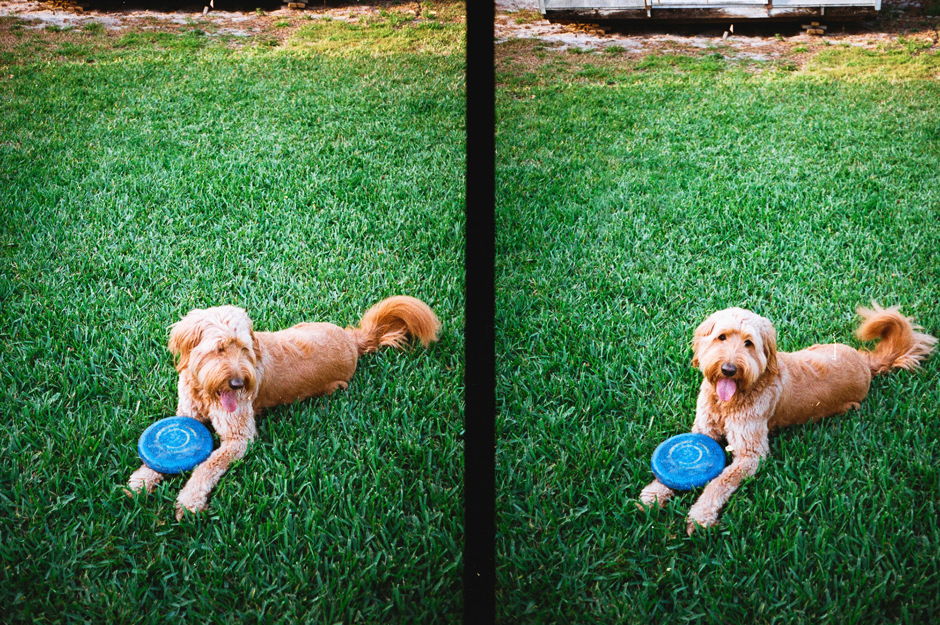 Olympus PEN EE-2 | Fuji 200