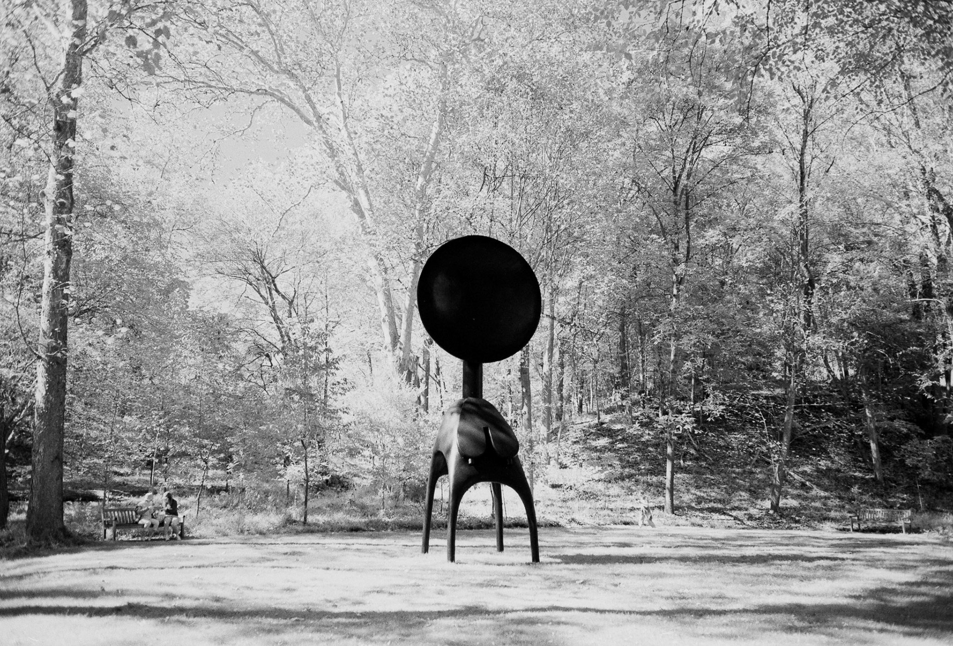 Nikon FM | Rollei Retro 400