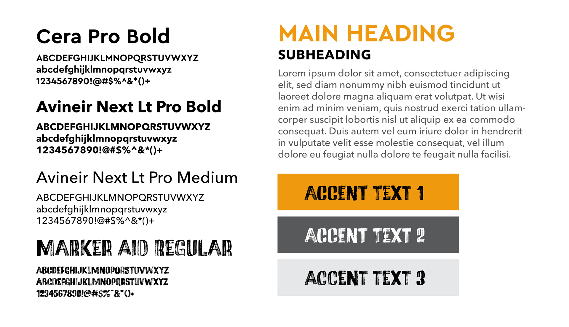 Four typeface families with examples